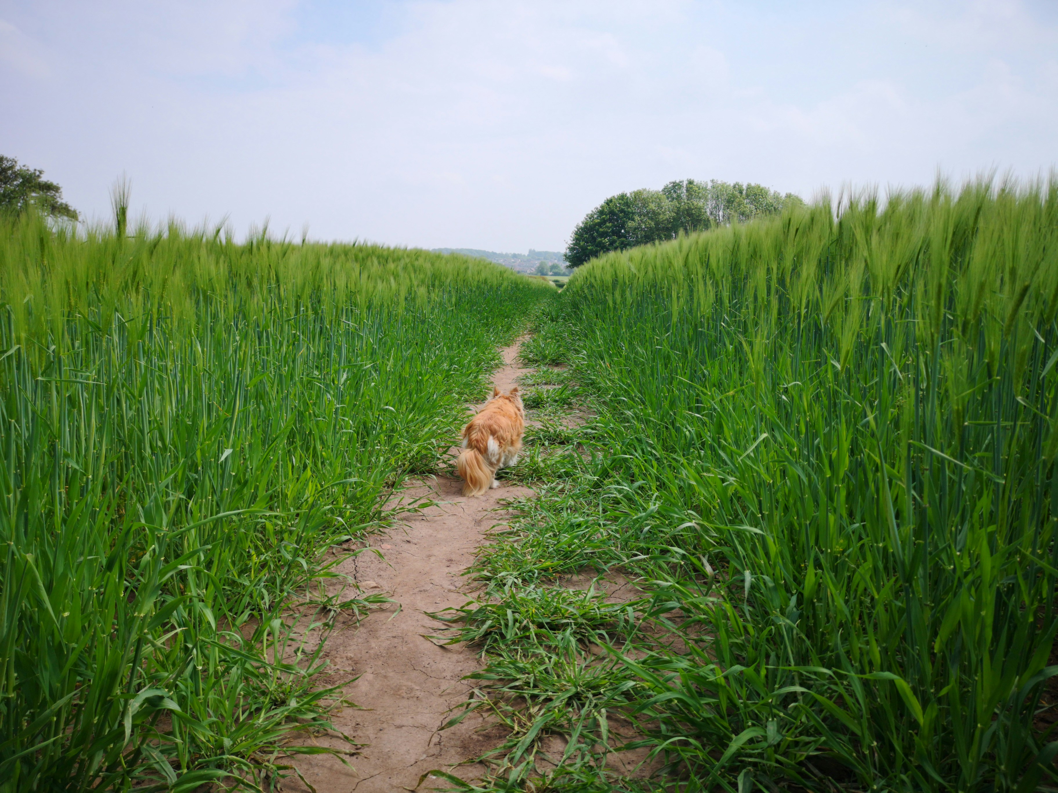 Photo by northernman