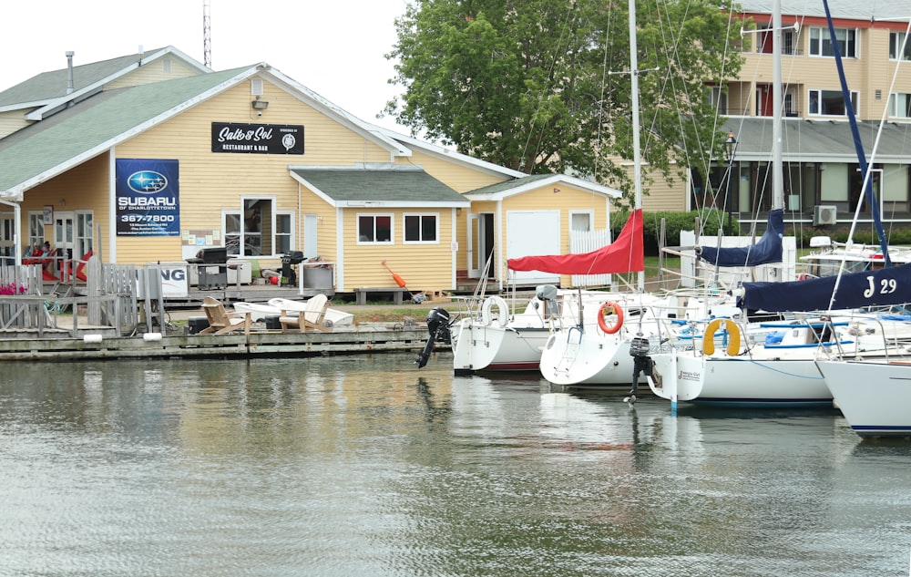 white boat on dock during daytime