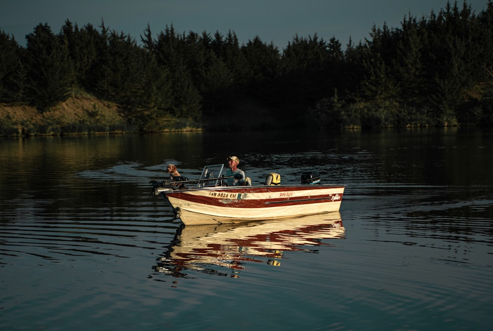 white and brown boat on body of water during night time