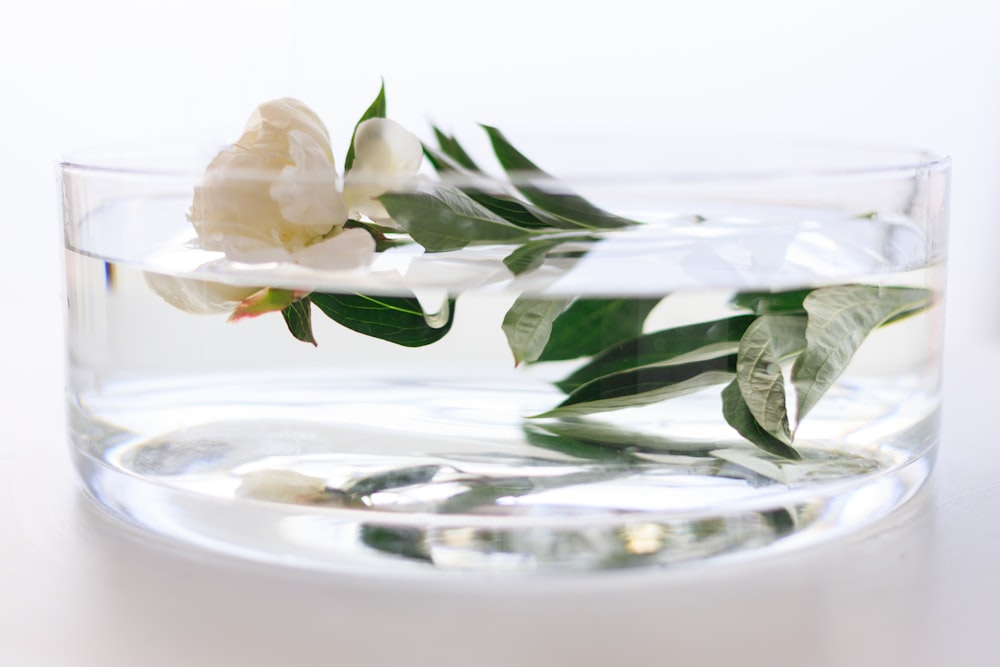 fiore bianco su piatto di ceramica bianca