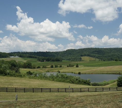 green grass field under blue sky during daytime