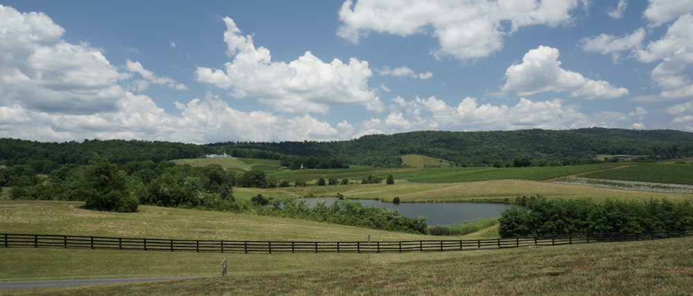 Grünes Grasfeld unter blauem Himmel tagsüber