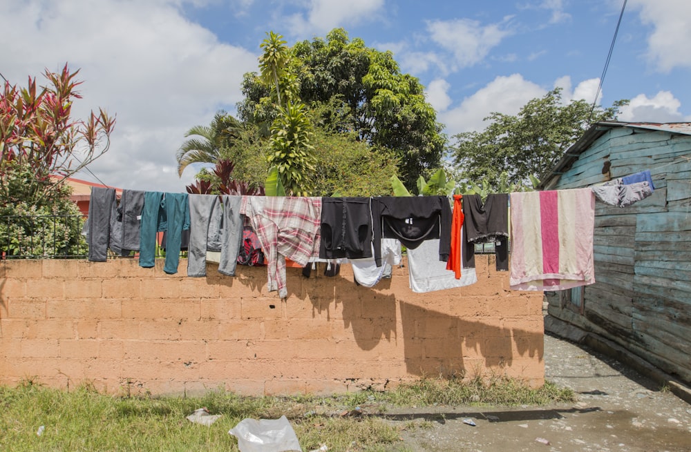 clothes hanged on wire near green tree during daytime