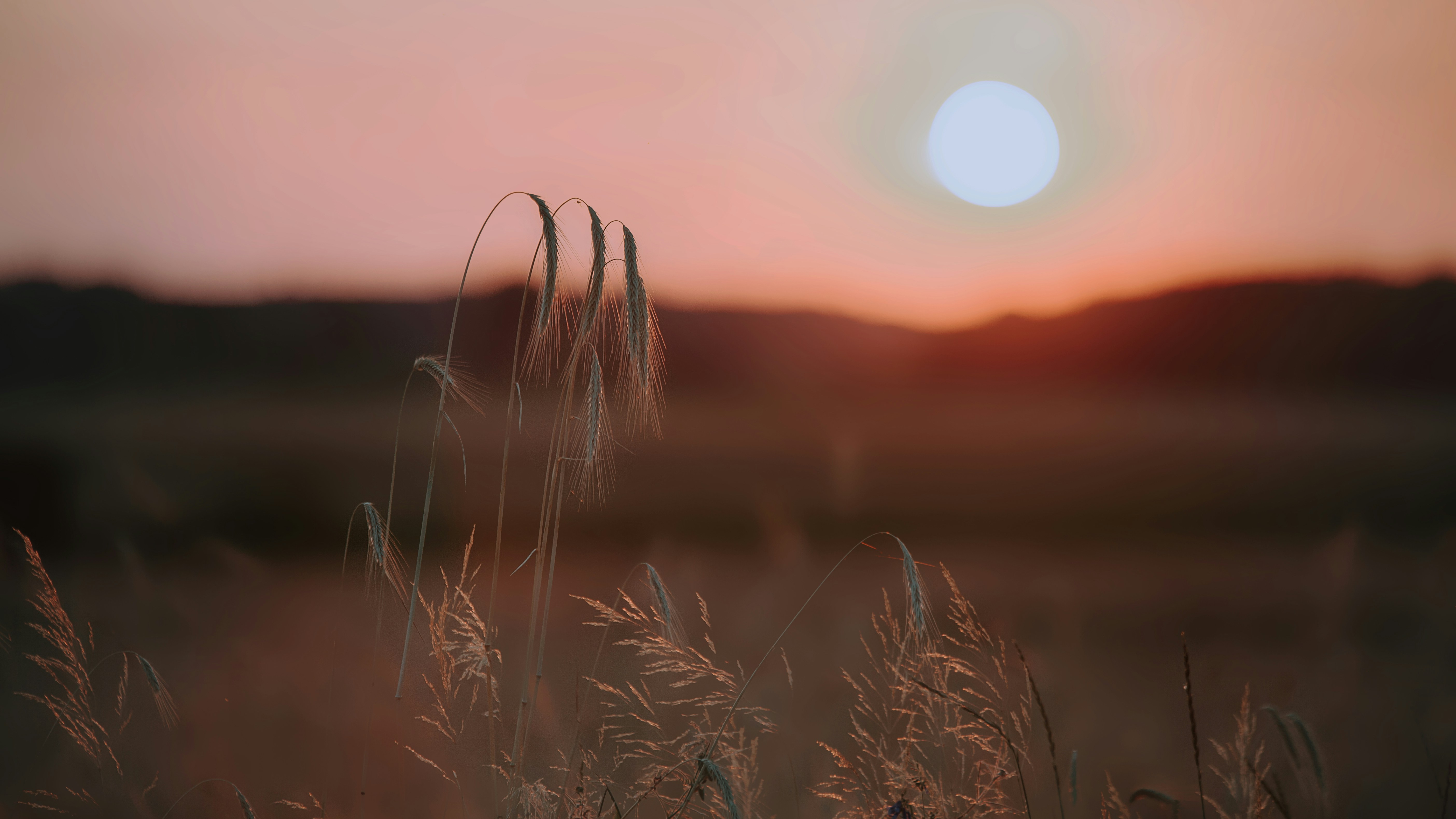 Photo by sylvester_s