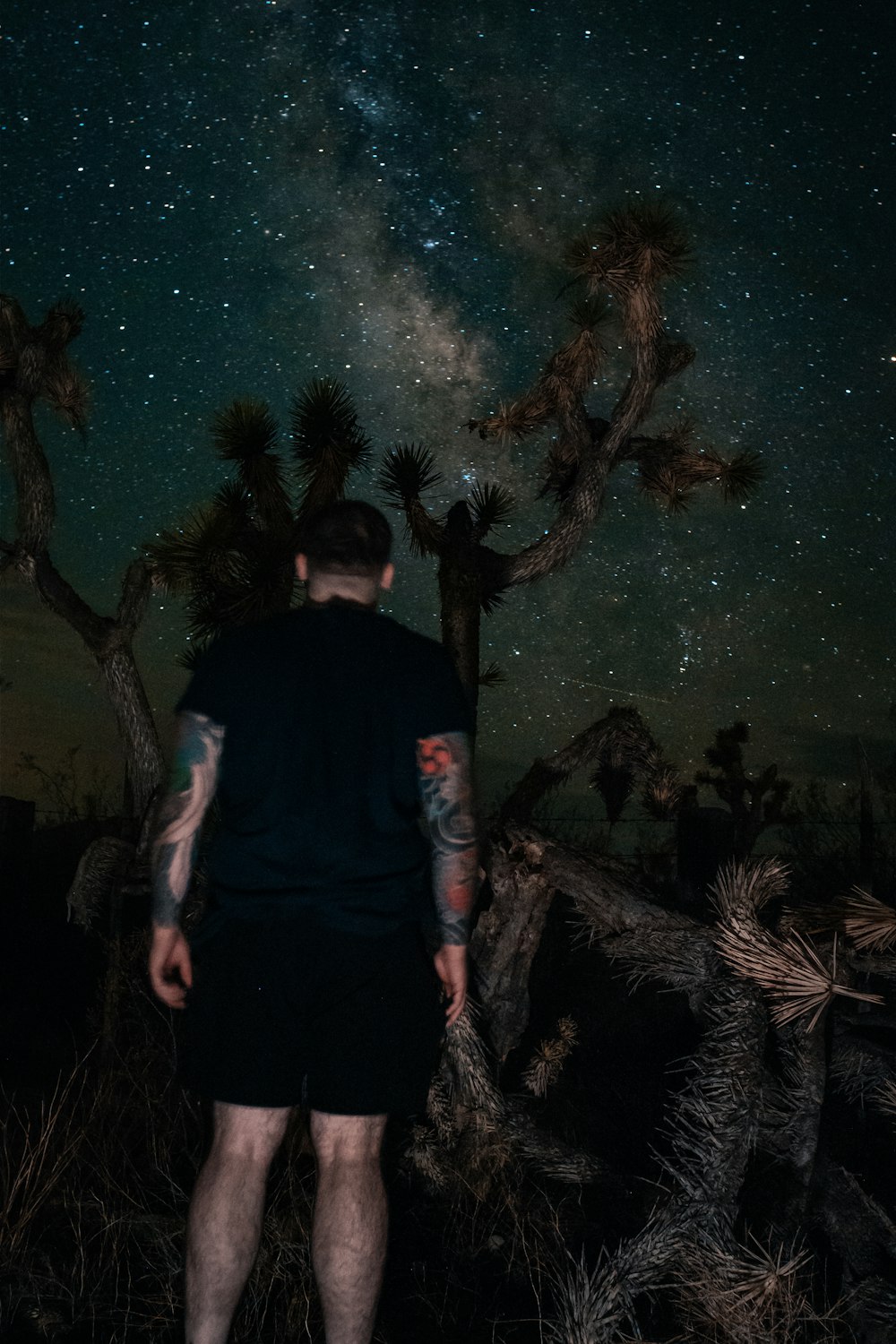 man in black crew neck t-shirt standing beside palm tree during night time