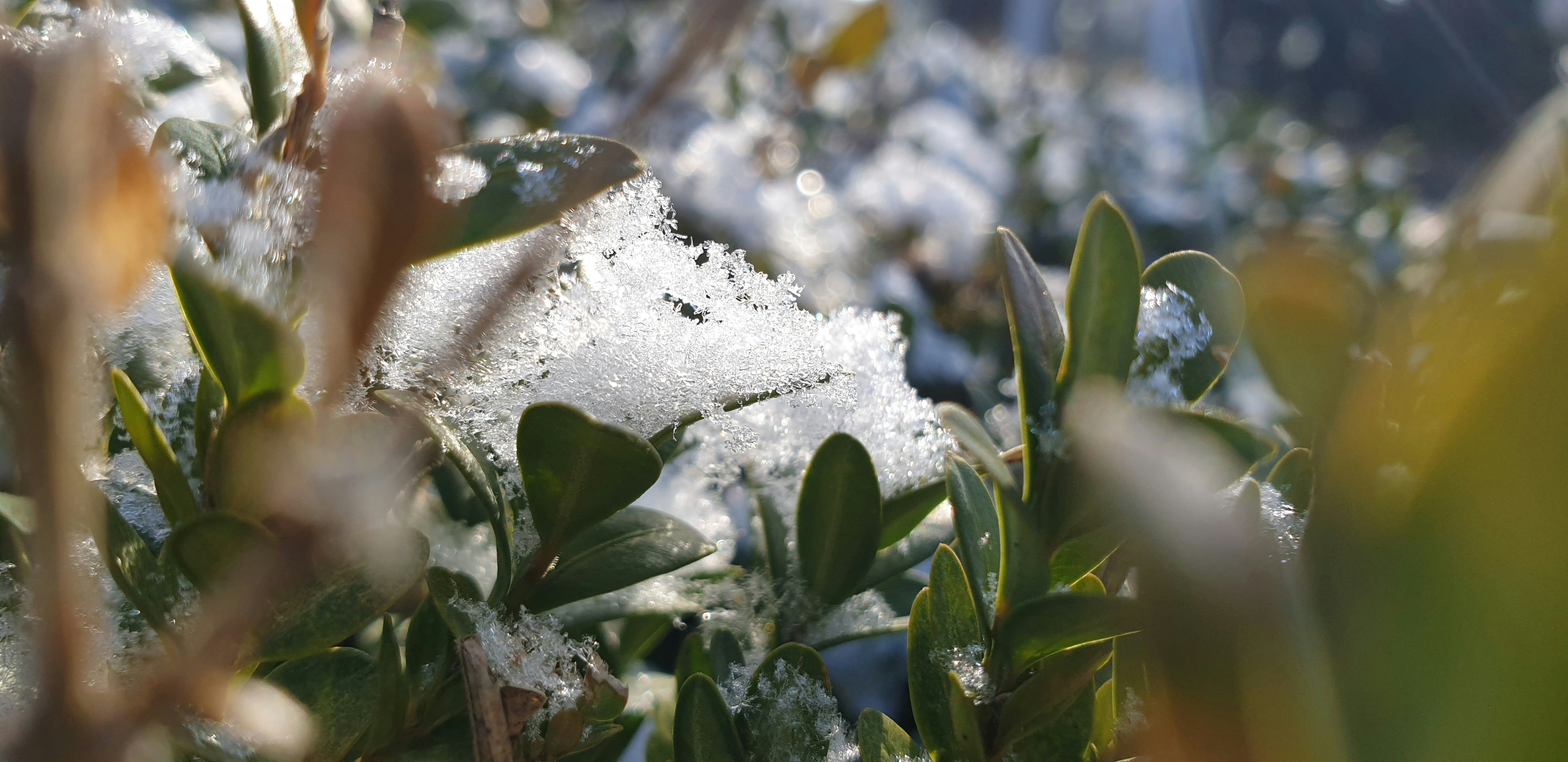 Photo by just_another_try