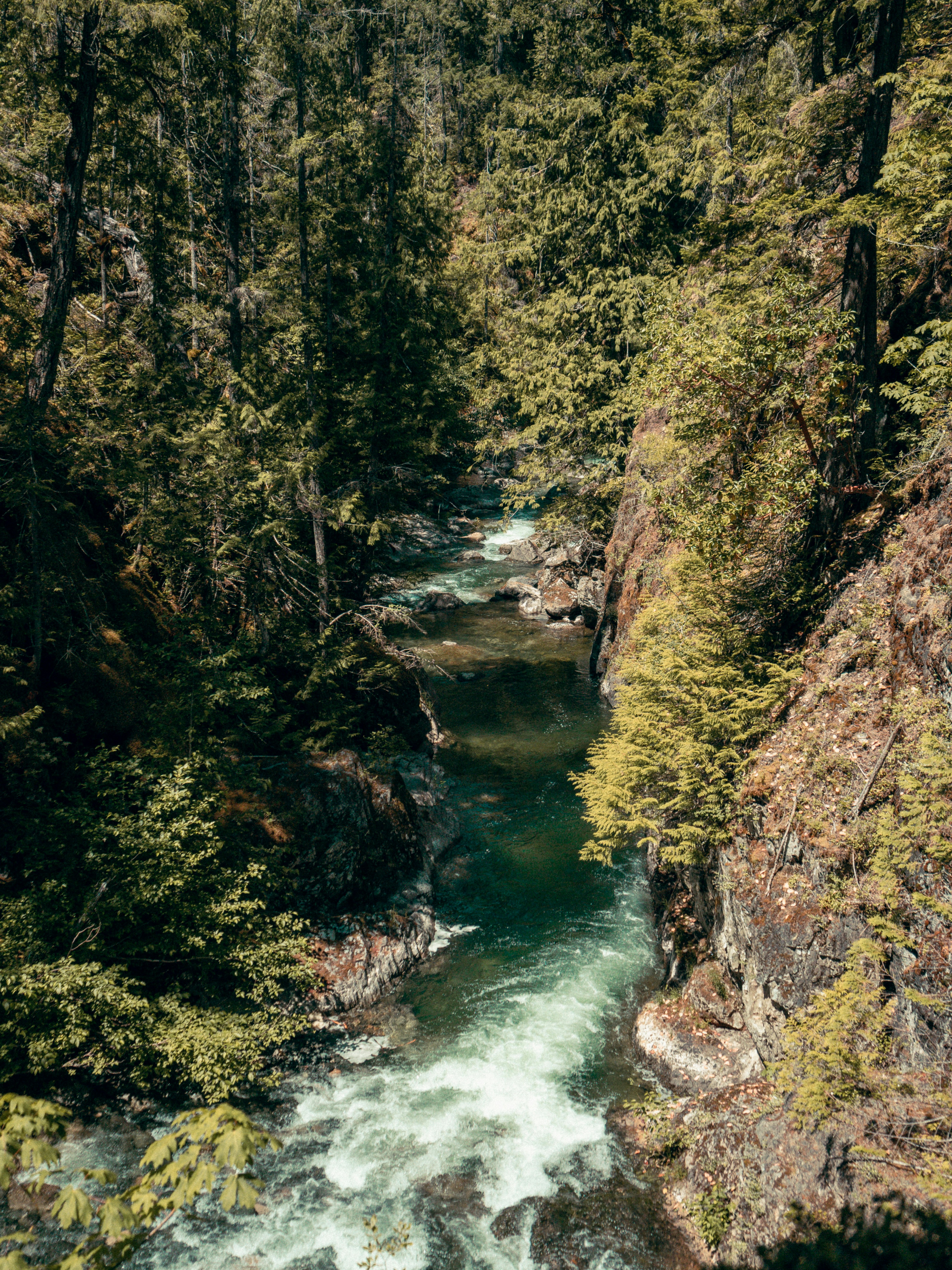 Photo by colefreeman