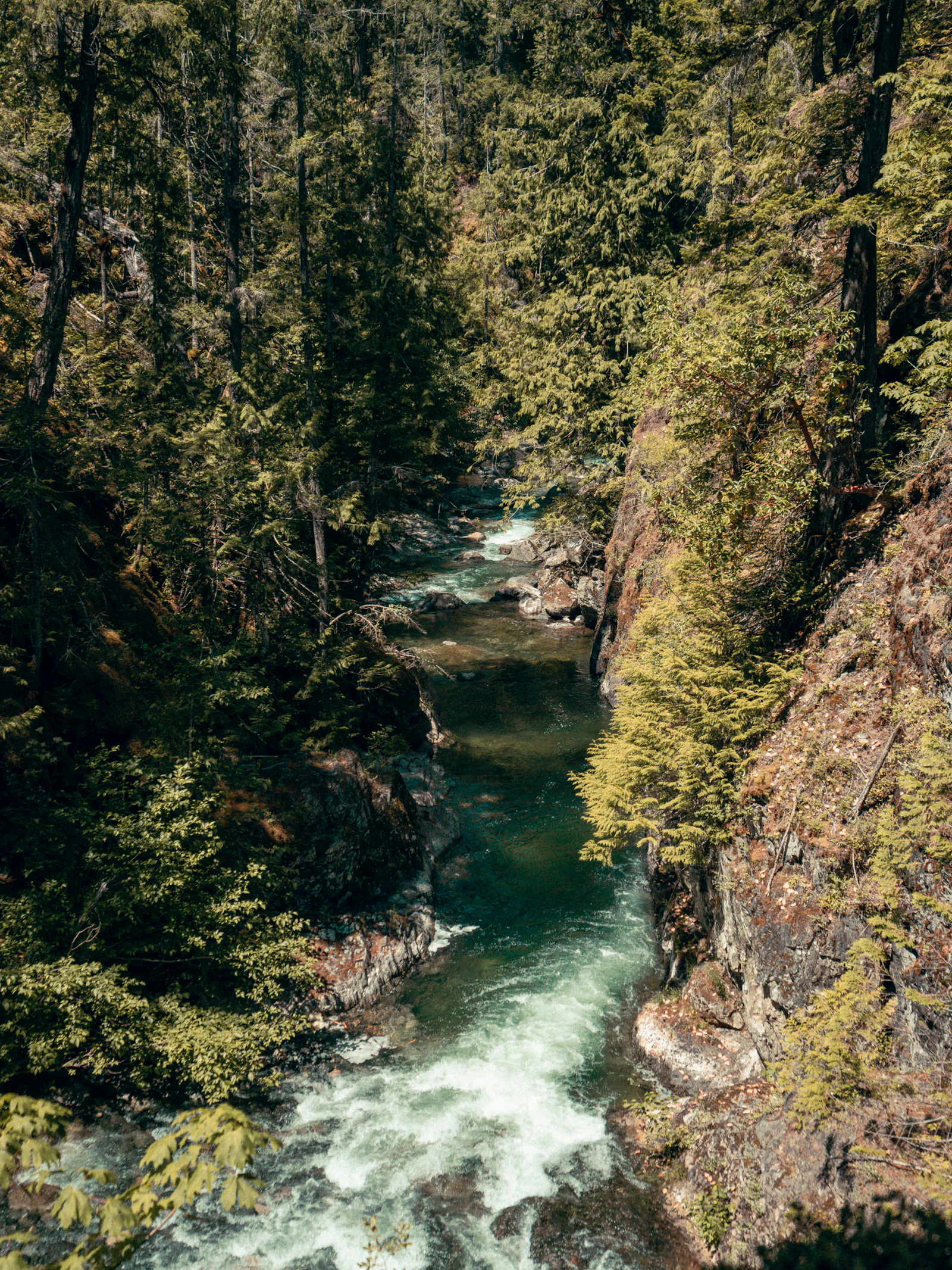5 Hidden Gems Worth Knowing Before Moving to Nevada County