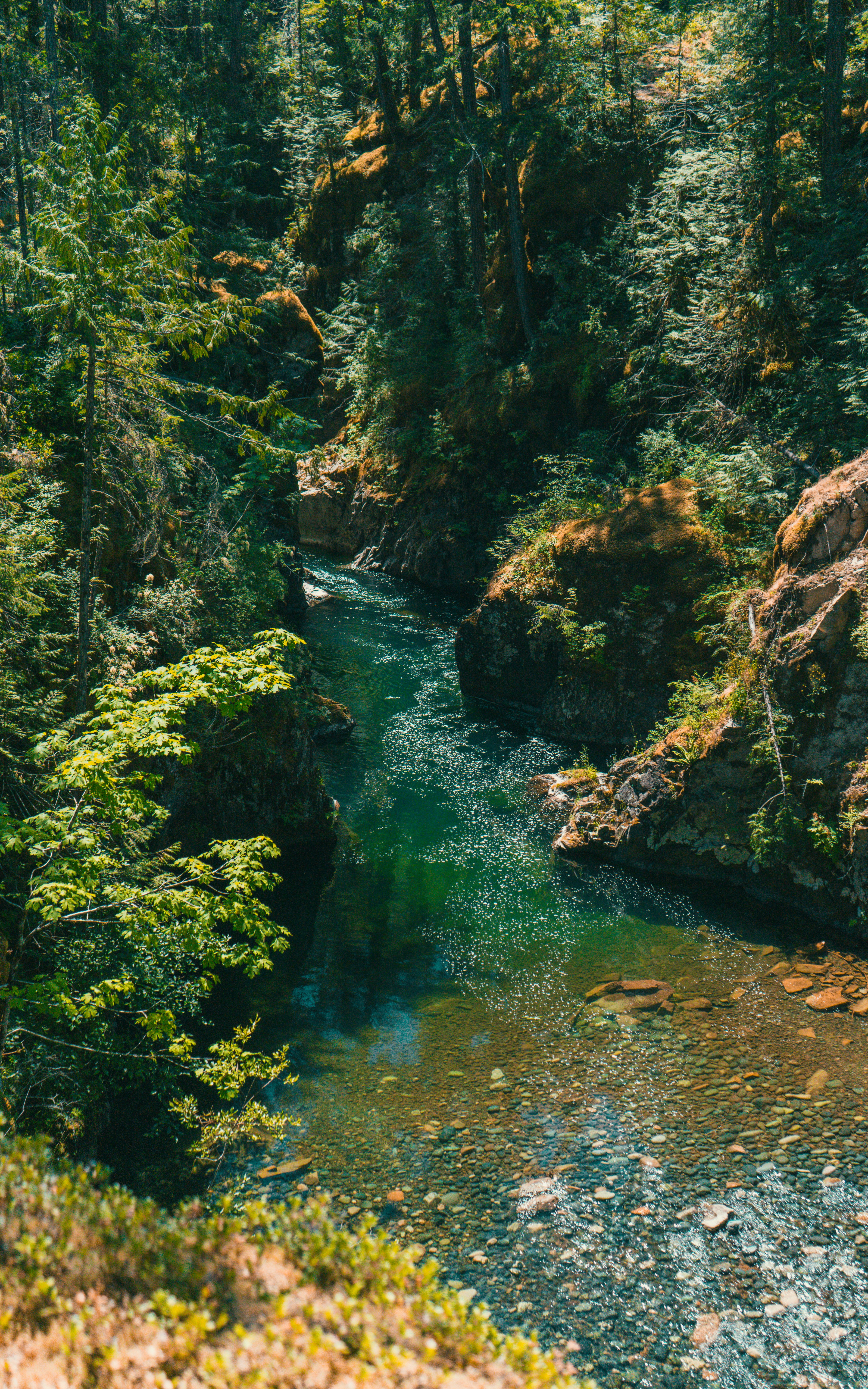 Photo by colefreeman