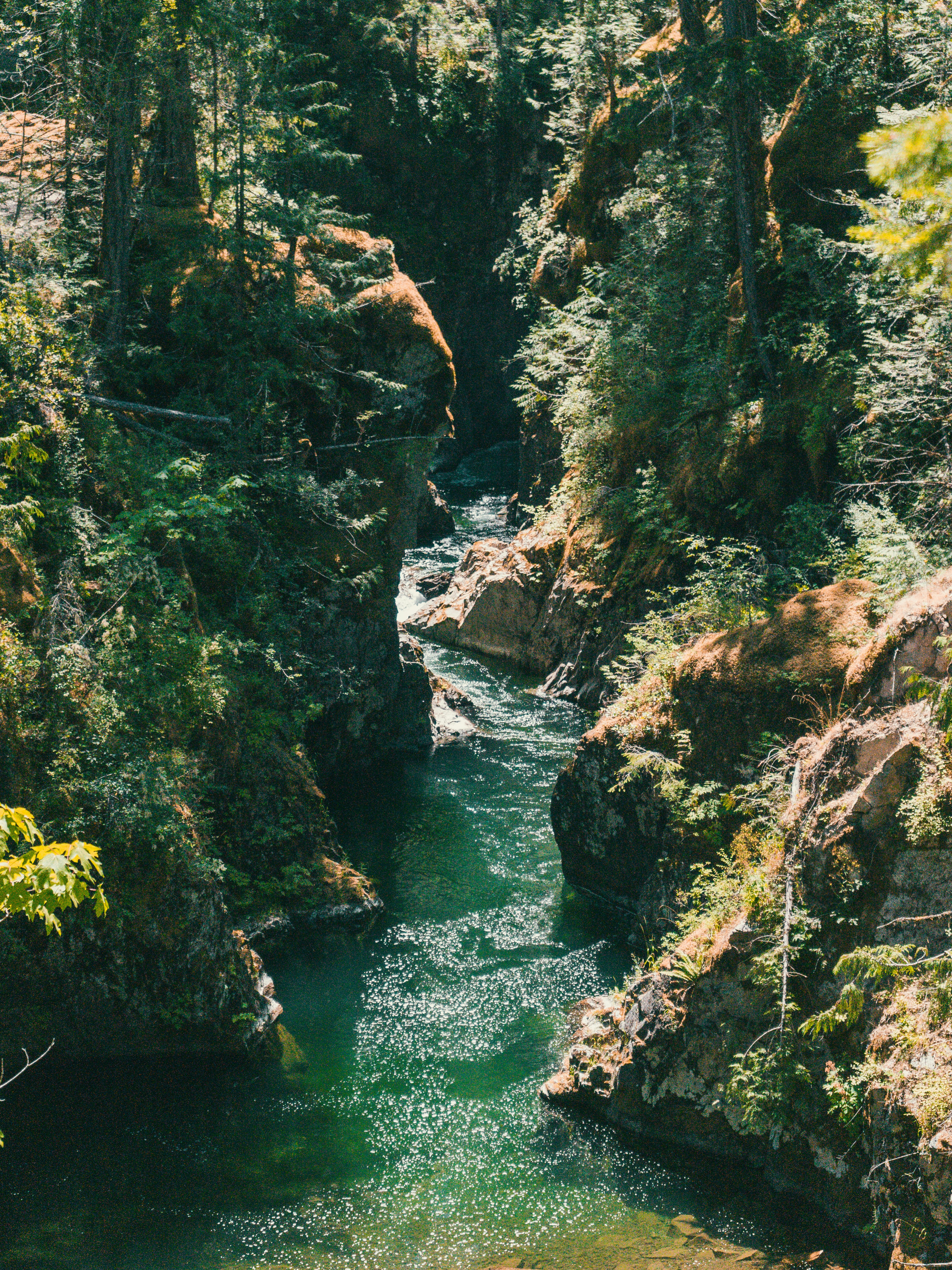 Photo by colefreeman