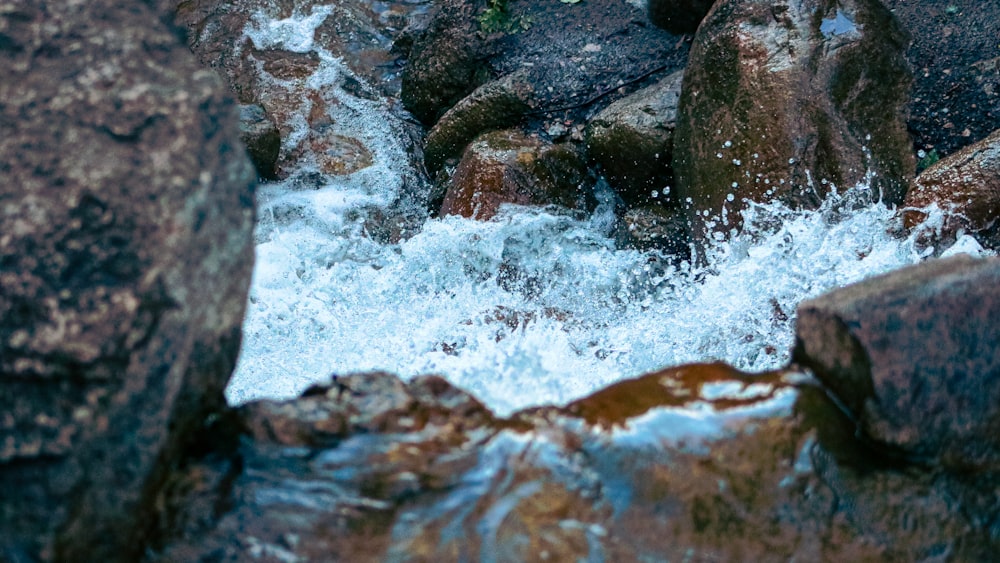 brown and gray rocks on river