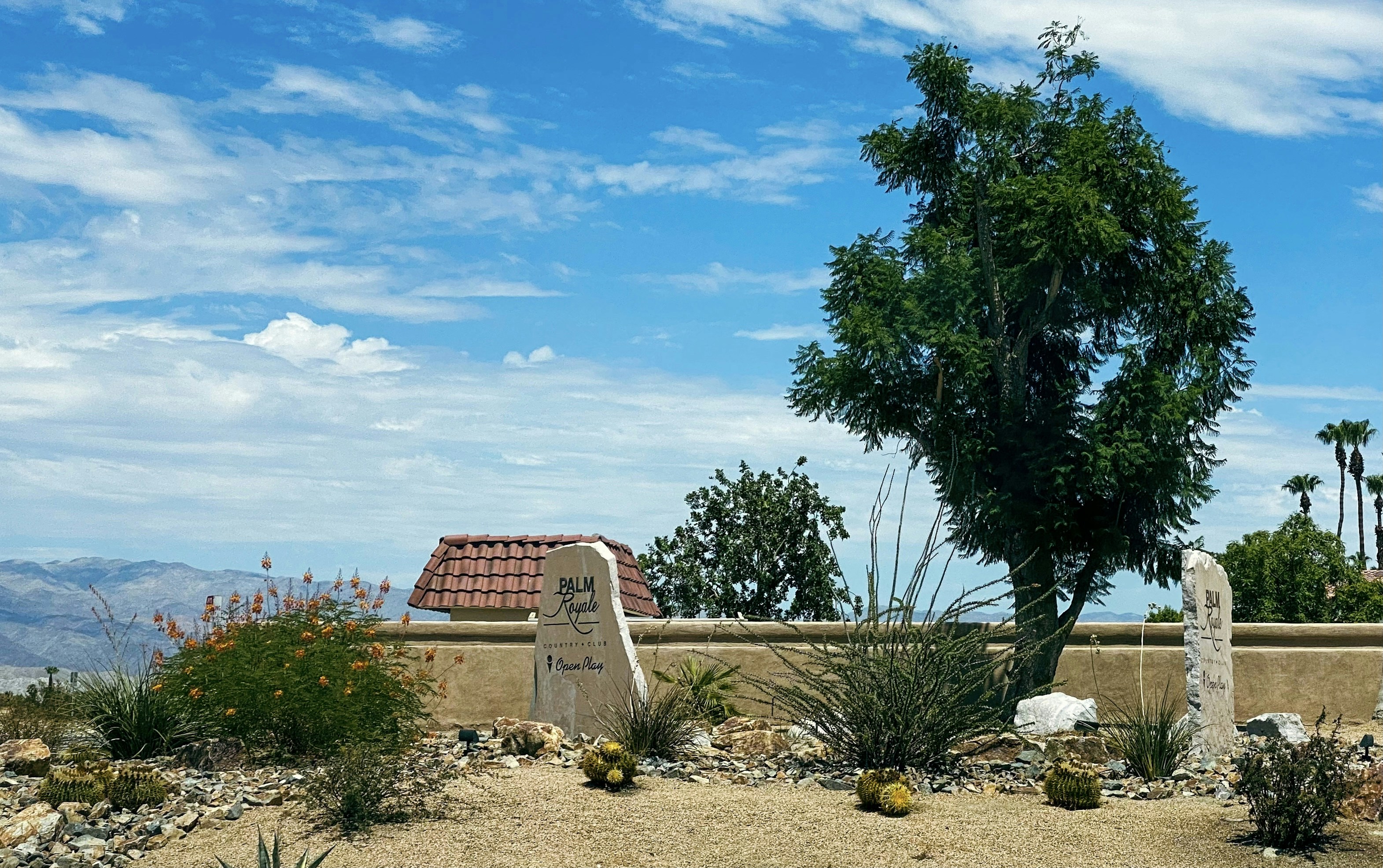 Photo by drizzy_bear86