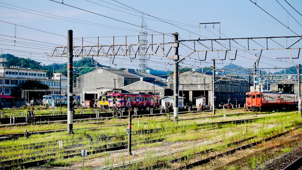 white and red train on rail tracks during daytime