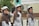 Three young women wearing uniforms with brown hijabs and gray caps are smiling and posing for the camera. Two of them make peace signs, and they have lanyards with ID cards around their necks. The setting appears to be an outdoor event, possibly linked to scouts or a similar organization. Behind them is a blurred background with greenery and a building with an air conditioning unit.