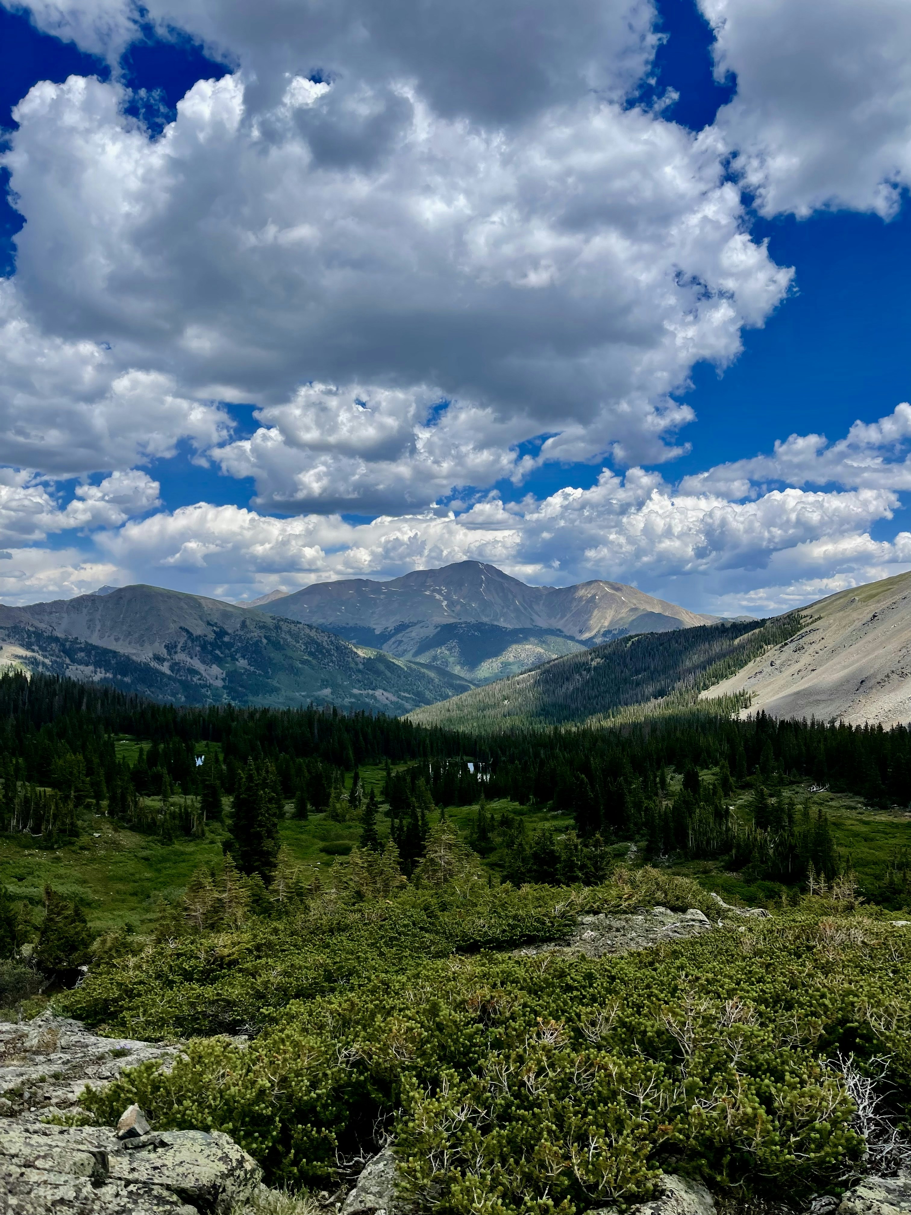 Photo by laitonbarbo