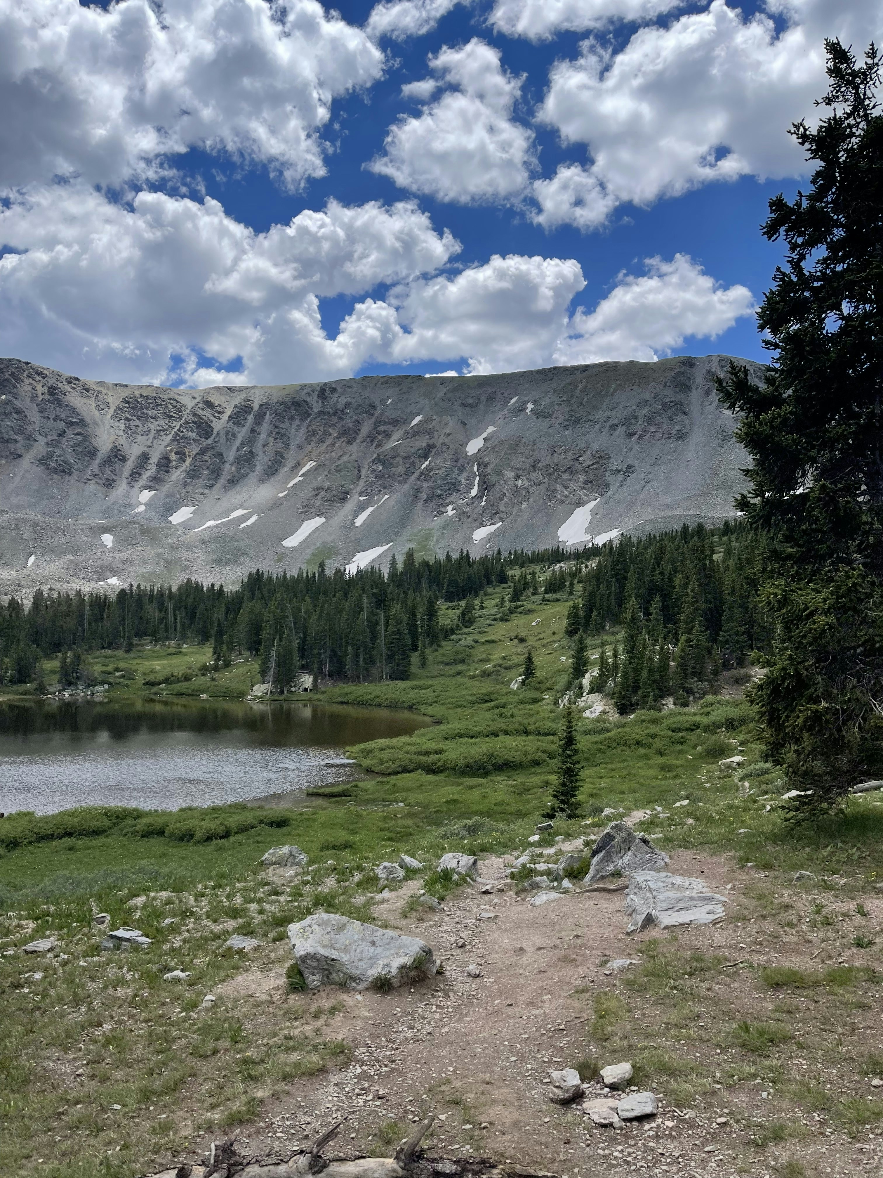 Photo by laitonbarbo