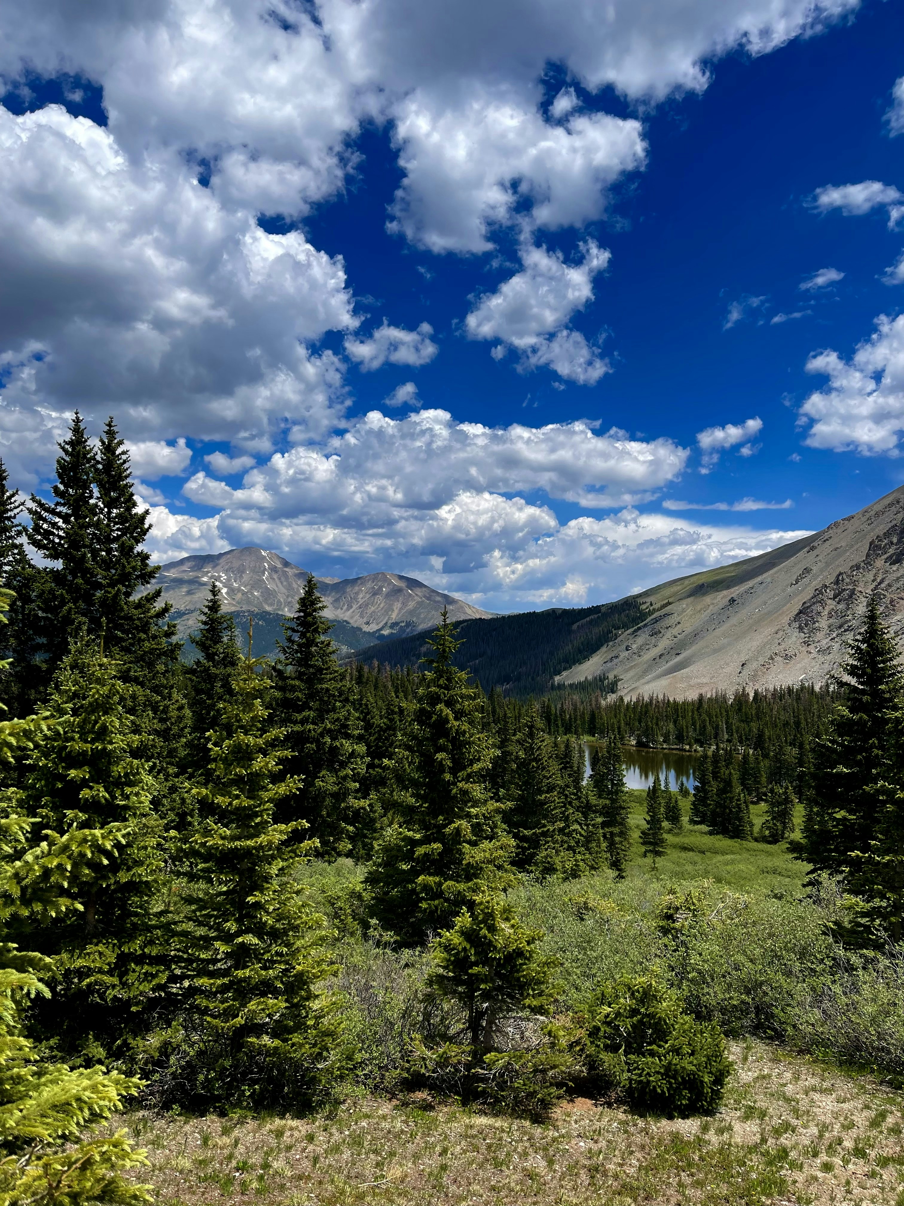 Photo by laitonbarbo