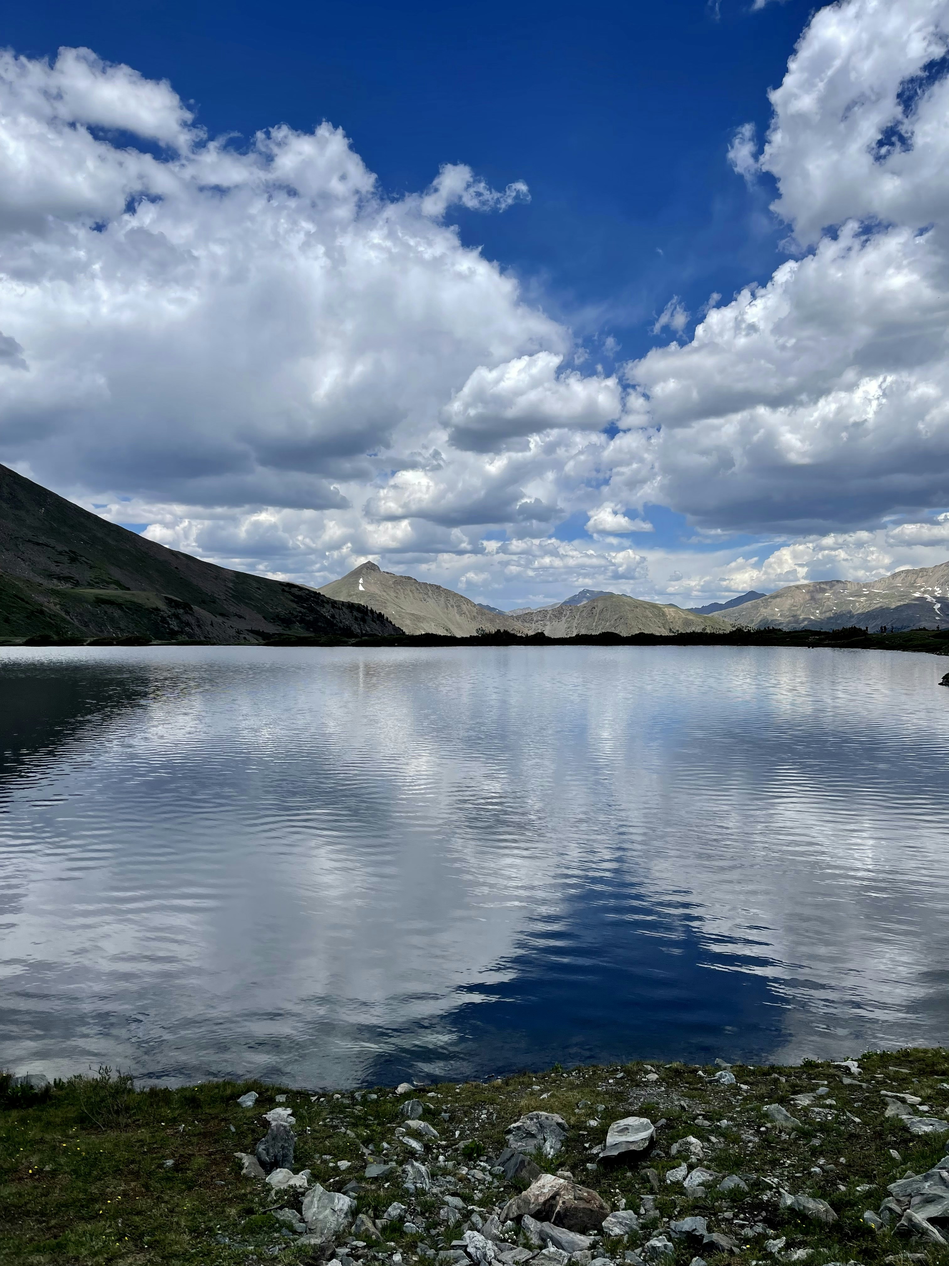 Photo by laitonbarbo