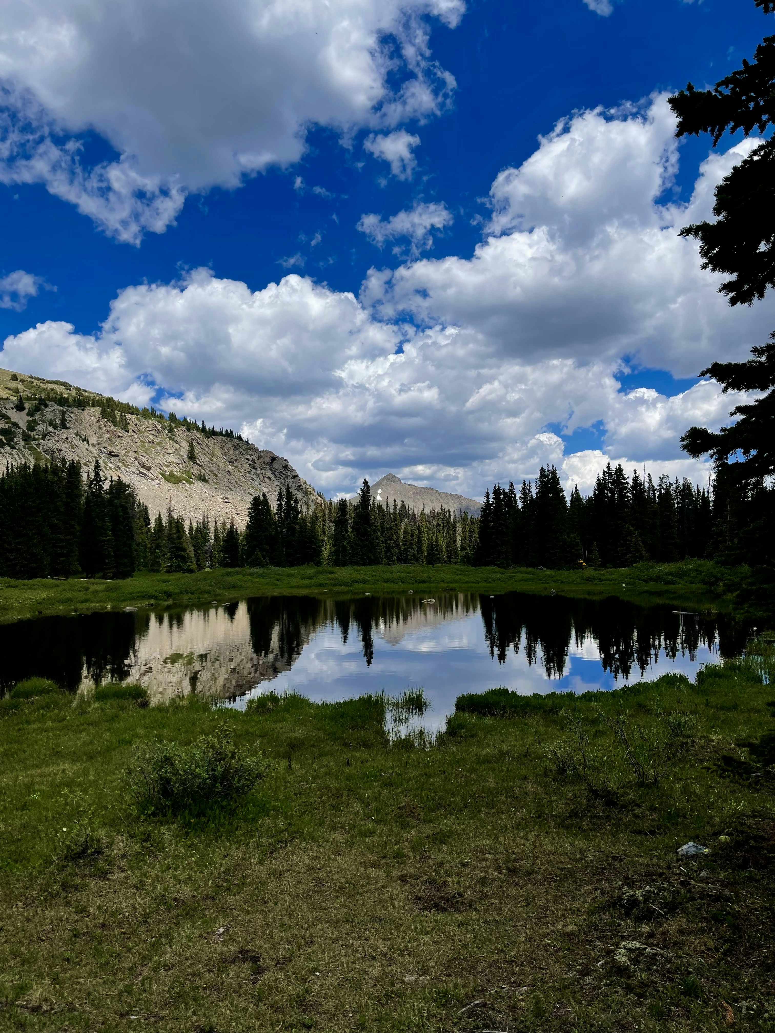 Photo by laitonbarbo