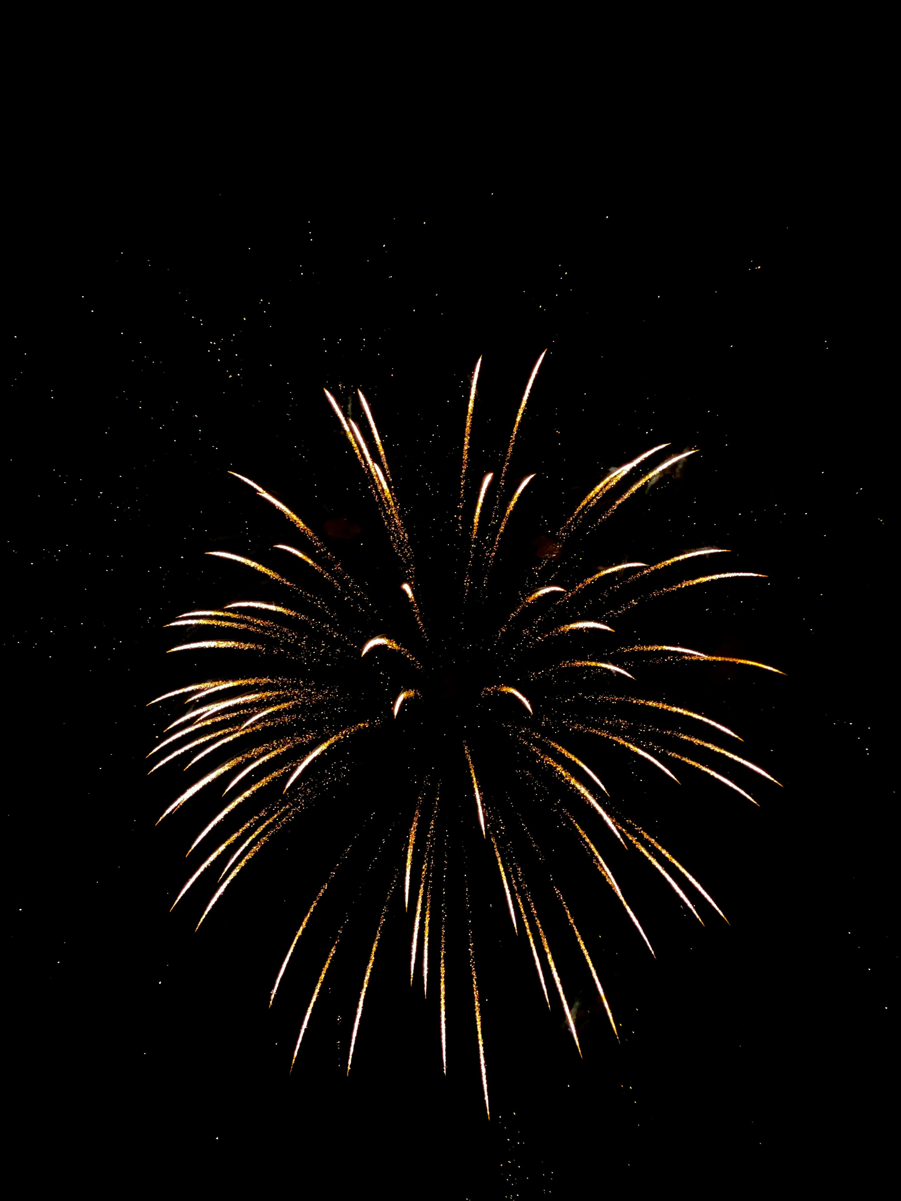 fogos de artifício brancos e marrons durante a noite