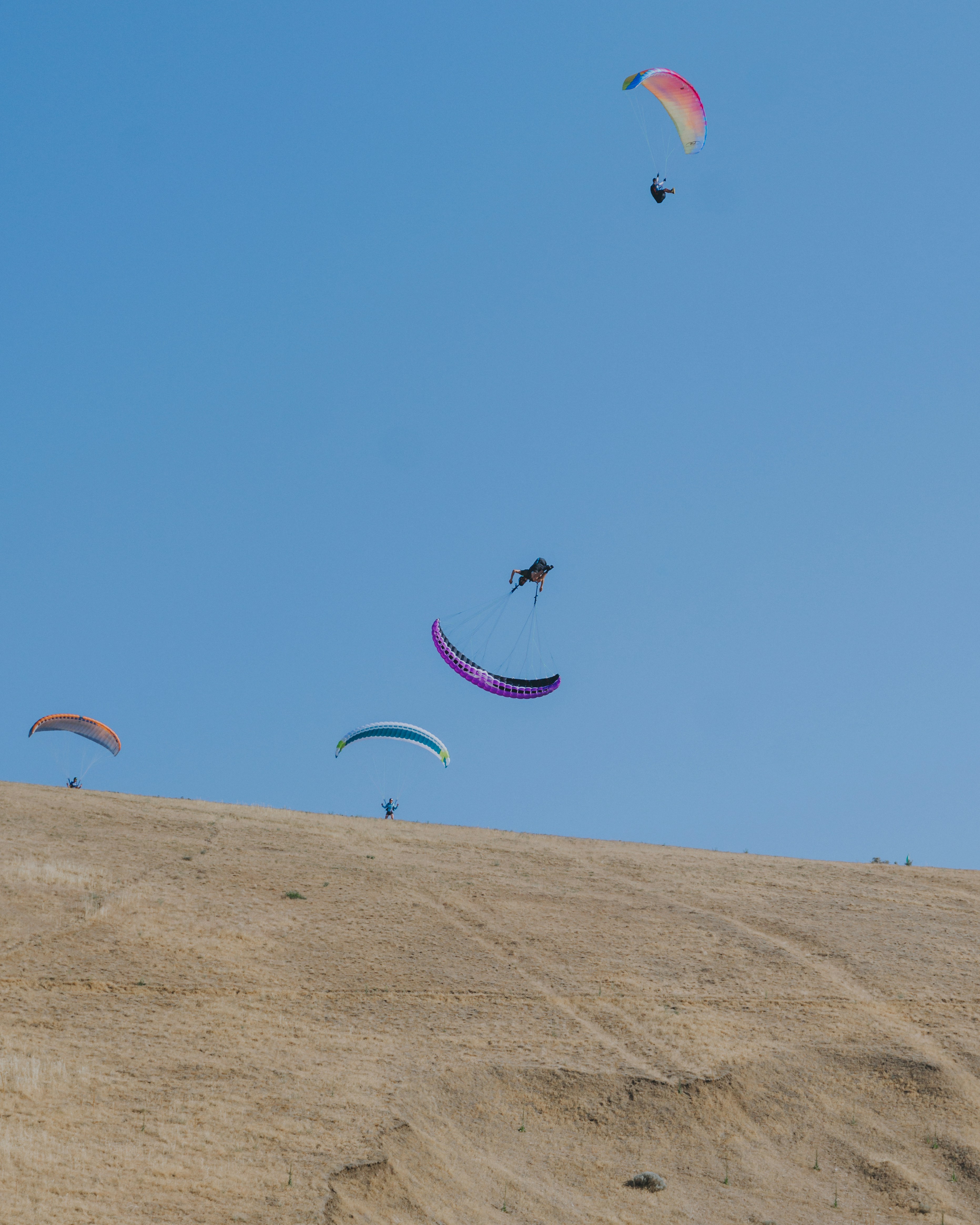 people doing sky diving during daytime