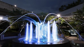 A night scene featuring an illuminated water fountain with streams of water arcing gracefully. The fountain is surrounded by trees and shrubs, with some modern architectural elements visible in the background. Soft lighting enhances the tranquil and elegant atmosphere.