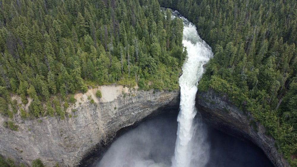 waterfalls in the middle of the forest