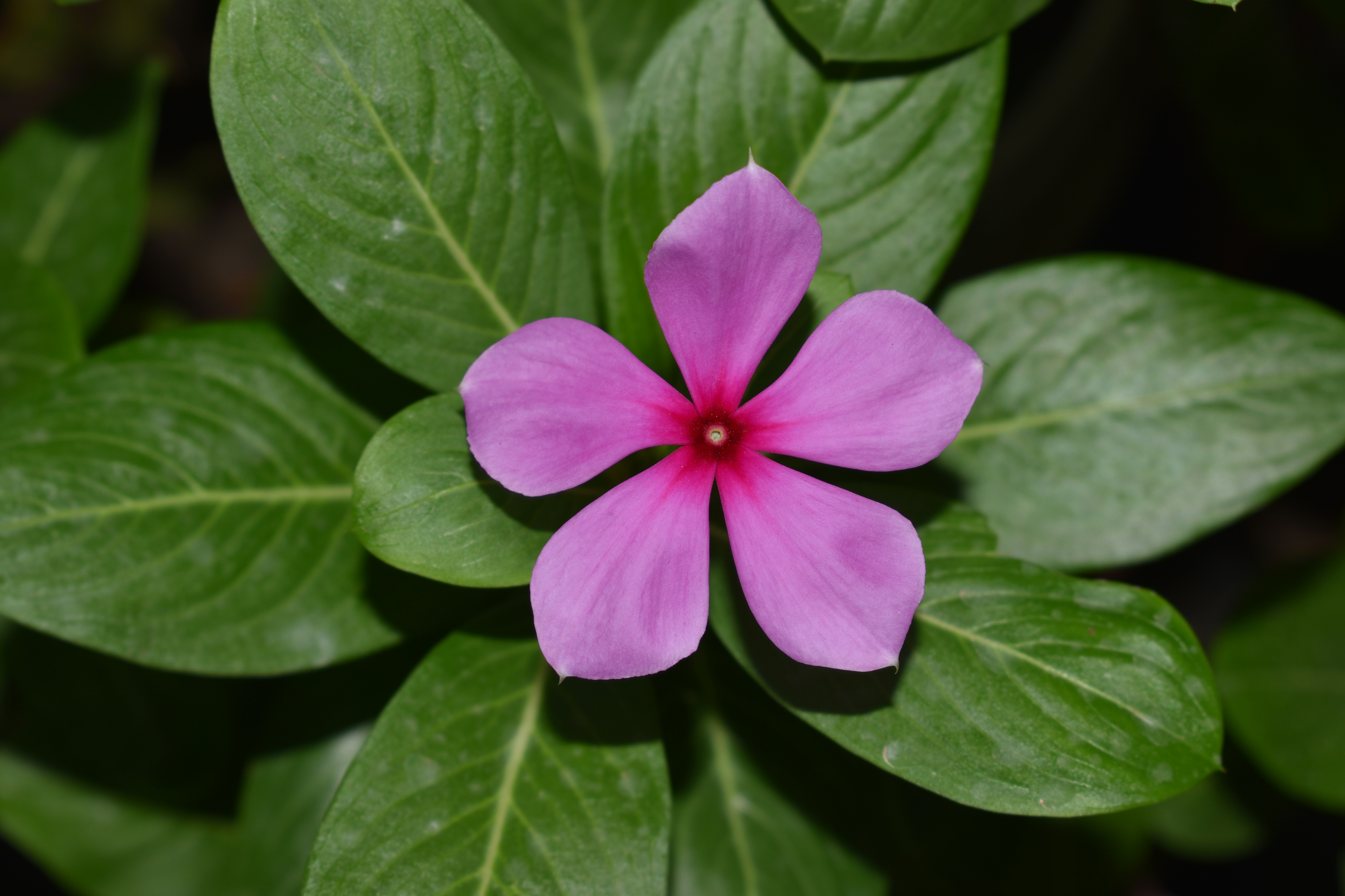 Photo by miteshkprajapat