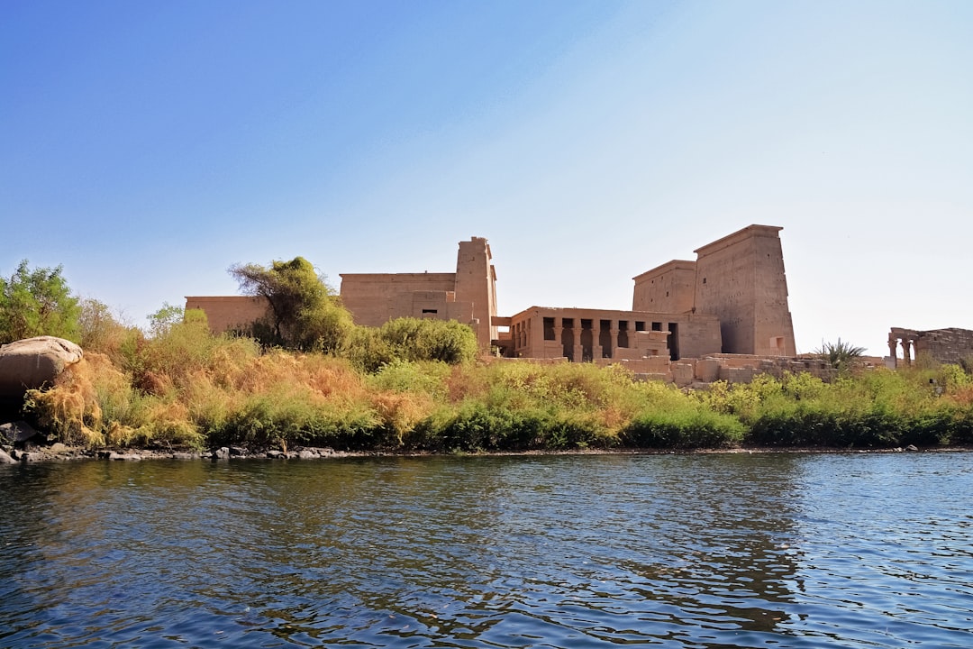 brown concrete building beside green trees and body of water during daytime