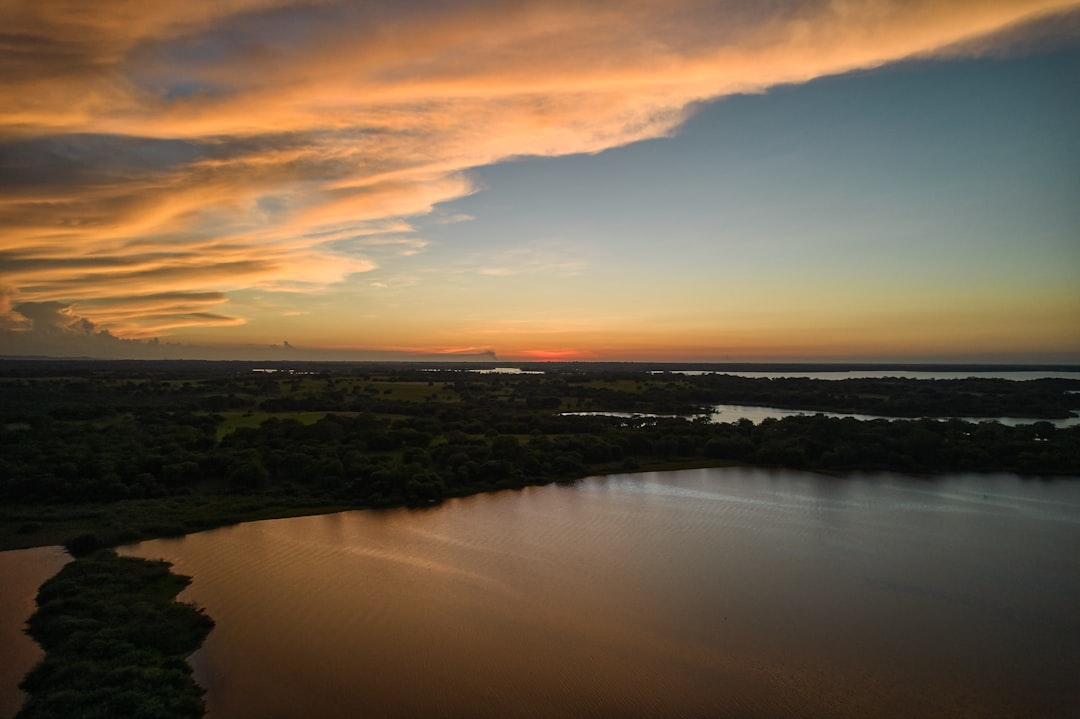 body of water near green trees during sunset