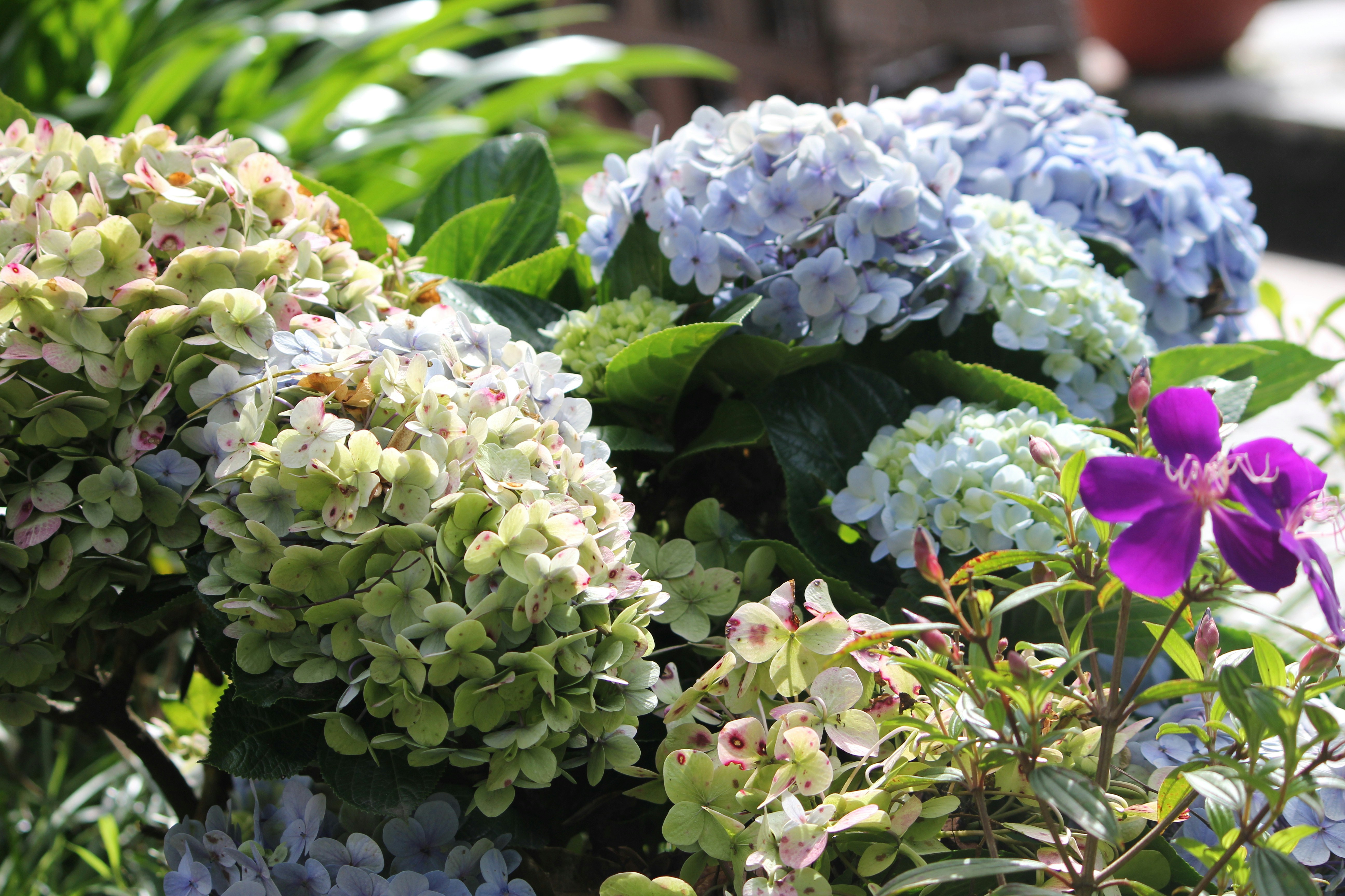 Photo by sheikhmansoor