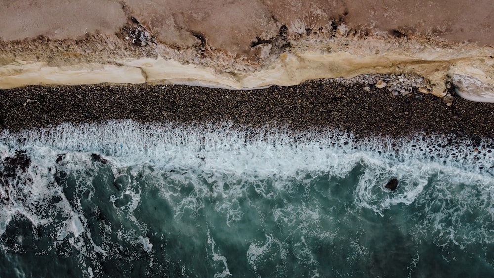 brown and white sand beach