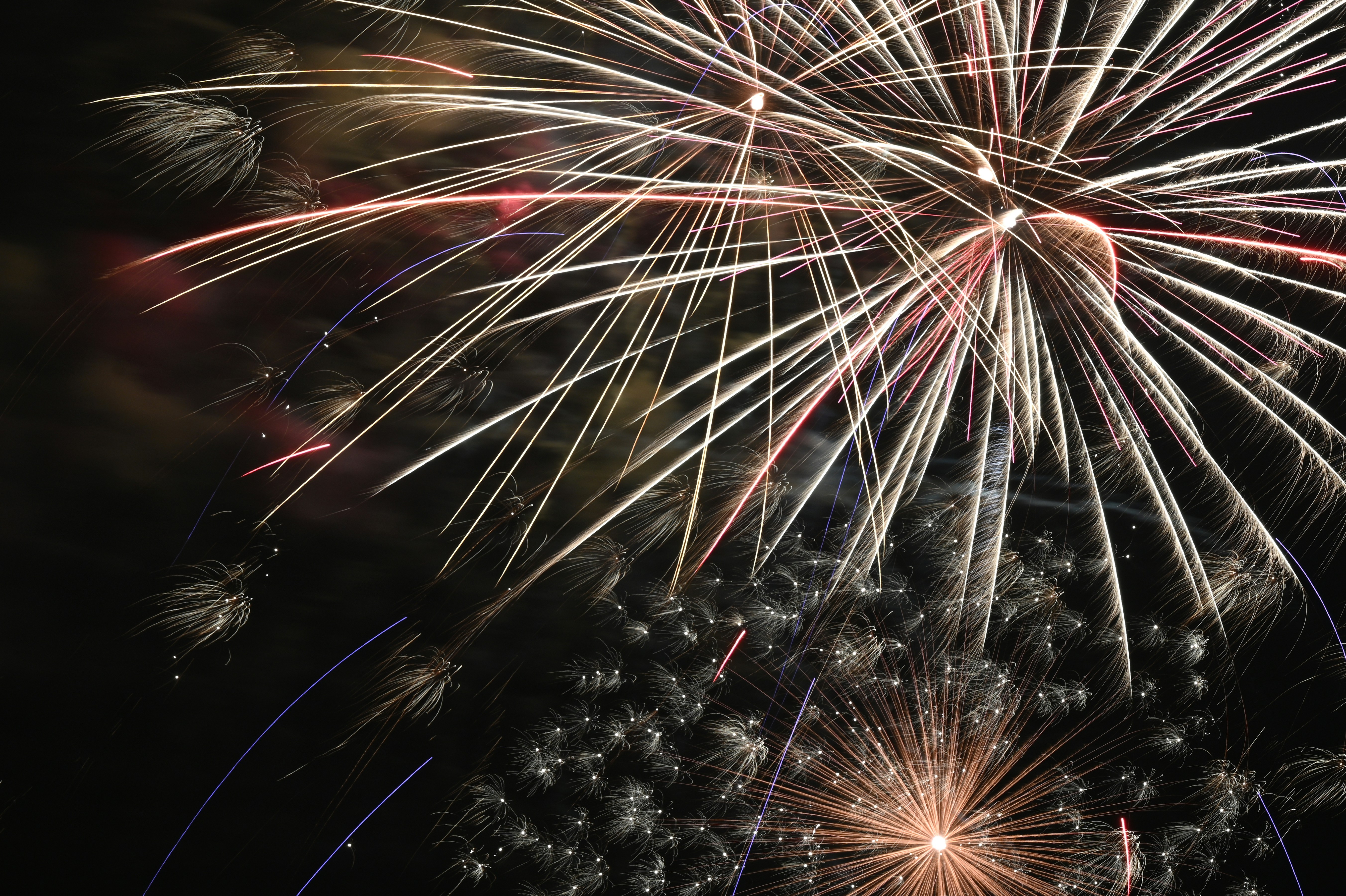 white and brown fireworks during night time