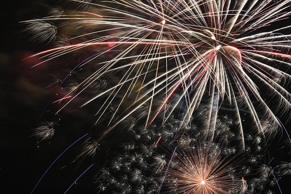 white and brown fireworks during night time