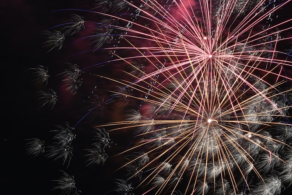 red and white fireworks display during nighttime