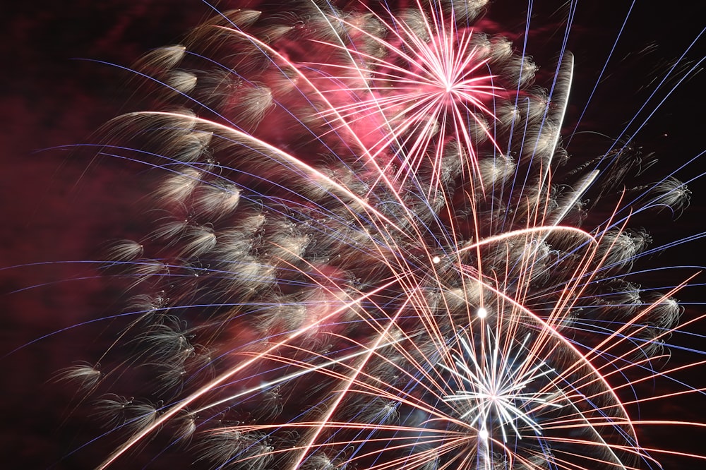 red and white fireworks display