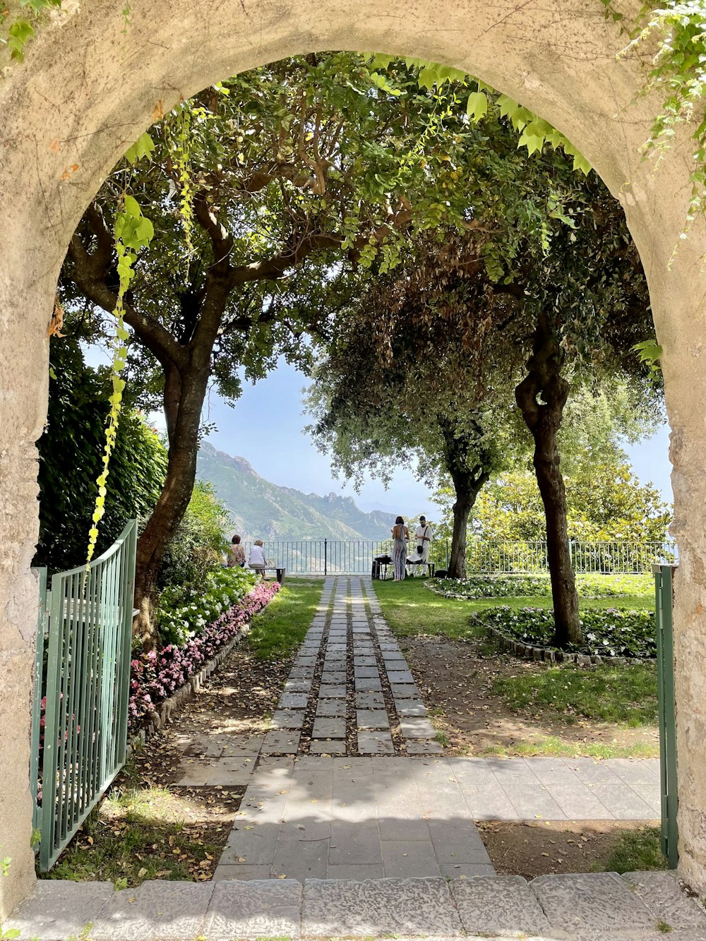 green trees near gray concrete pathway during daytime