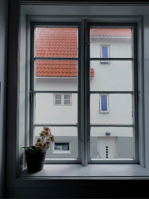 Reinigung Standard Paket Nef Exklusiv Clean GmbH