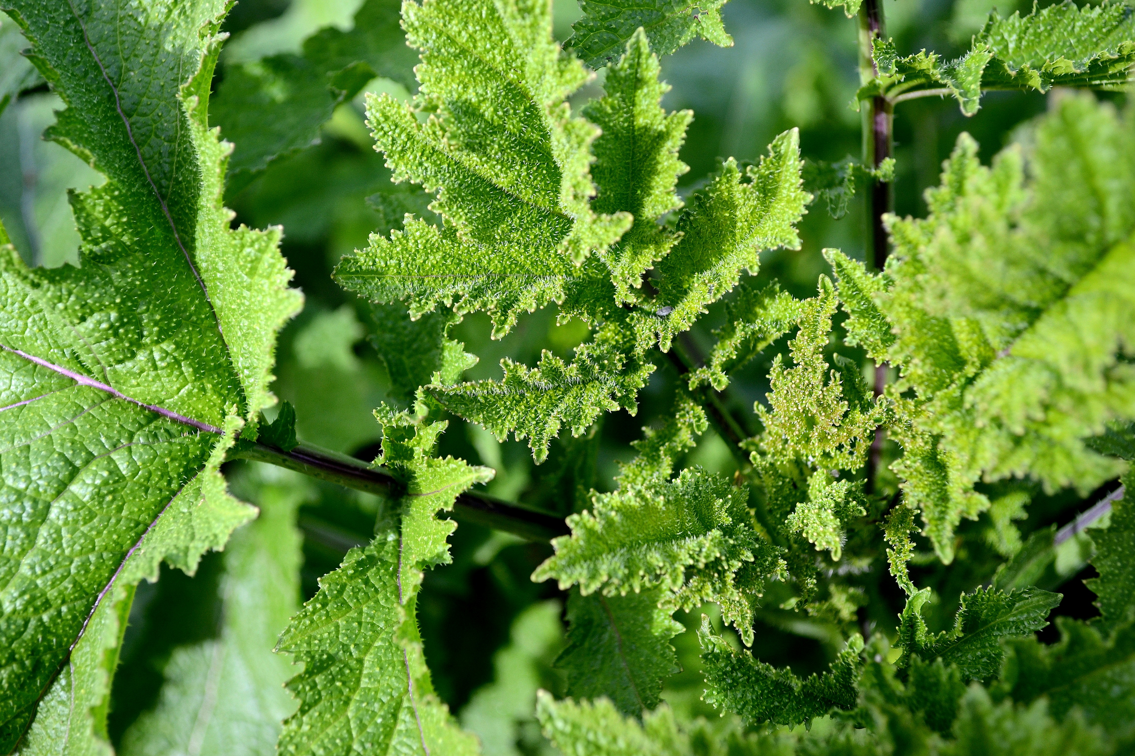 Photo by savonnah123