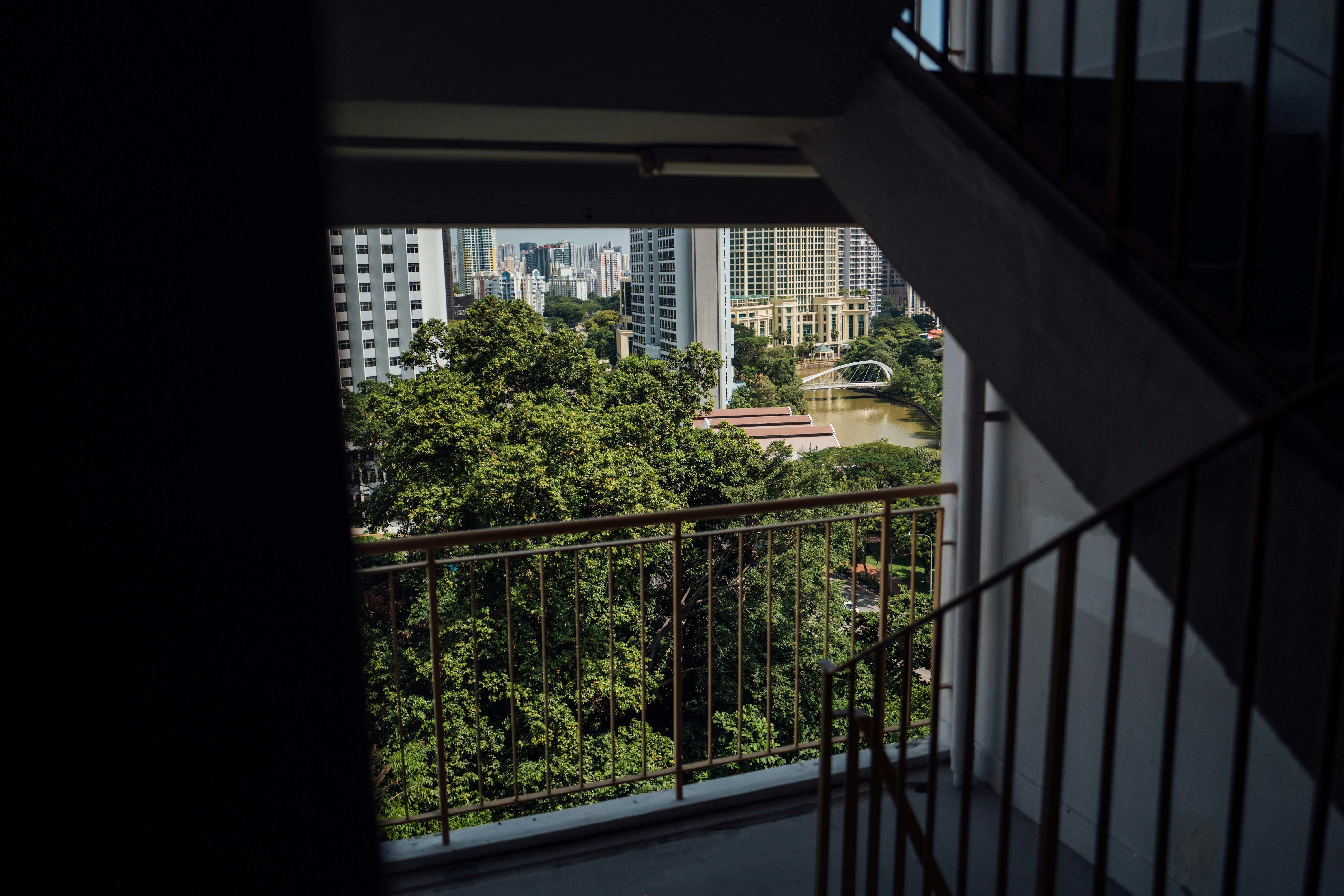 Photo by chuttersnap