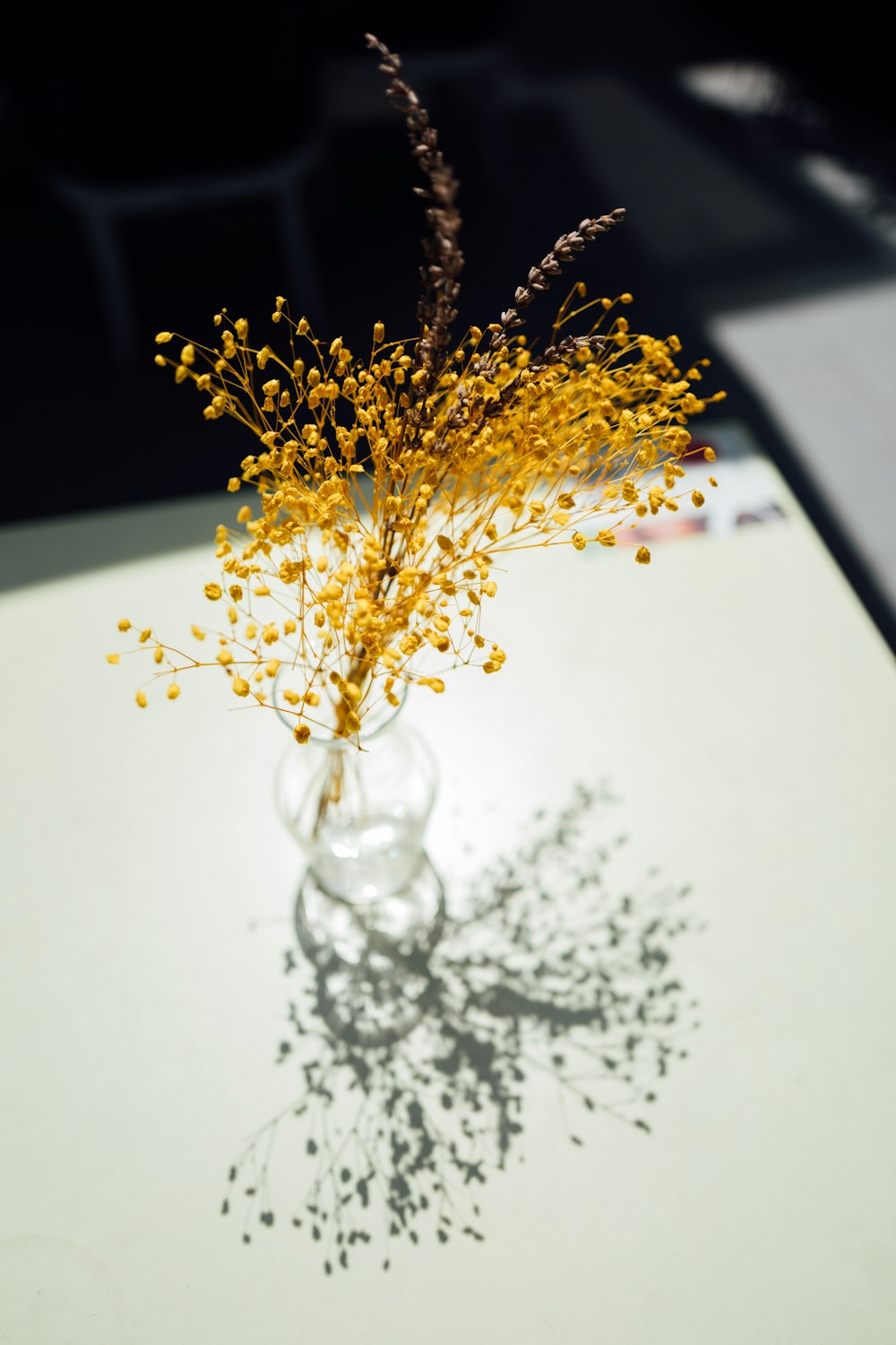 yellow flowers in clear glass vase