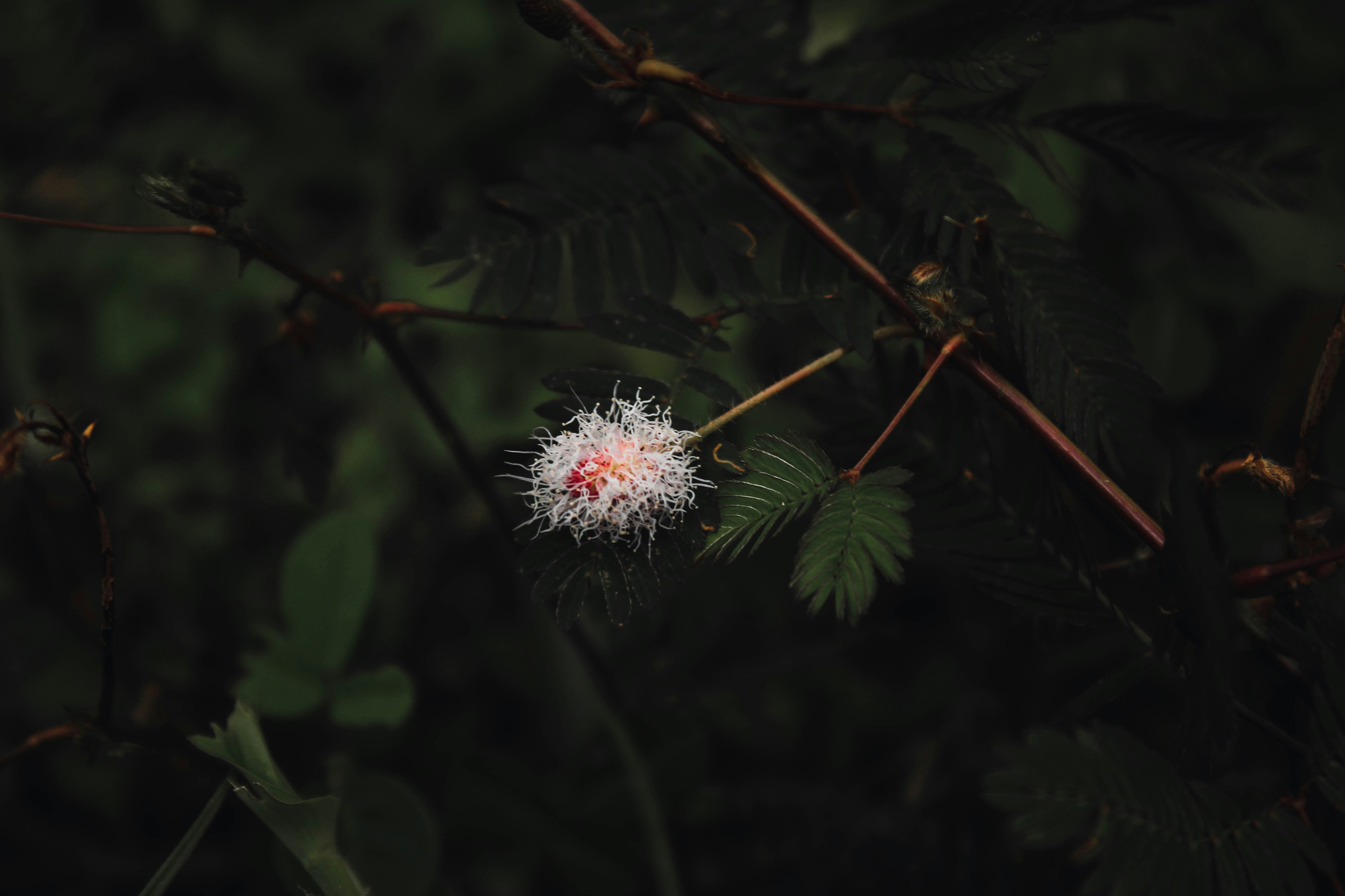 Photo by linsartistry