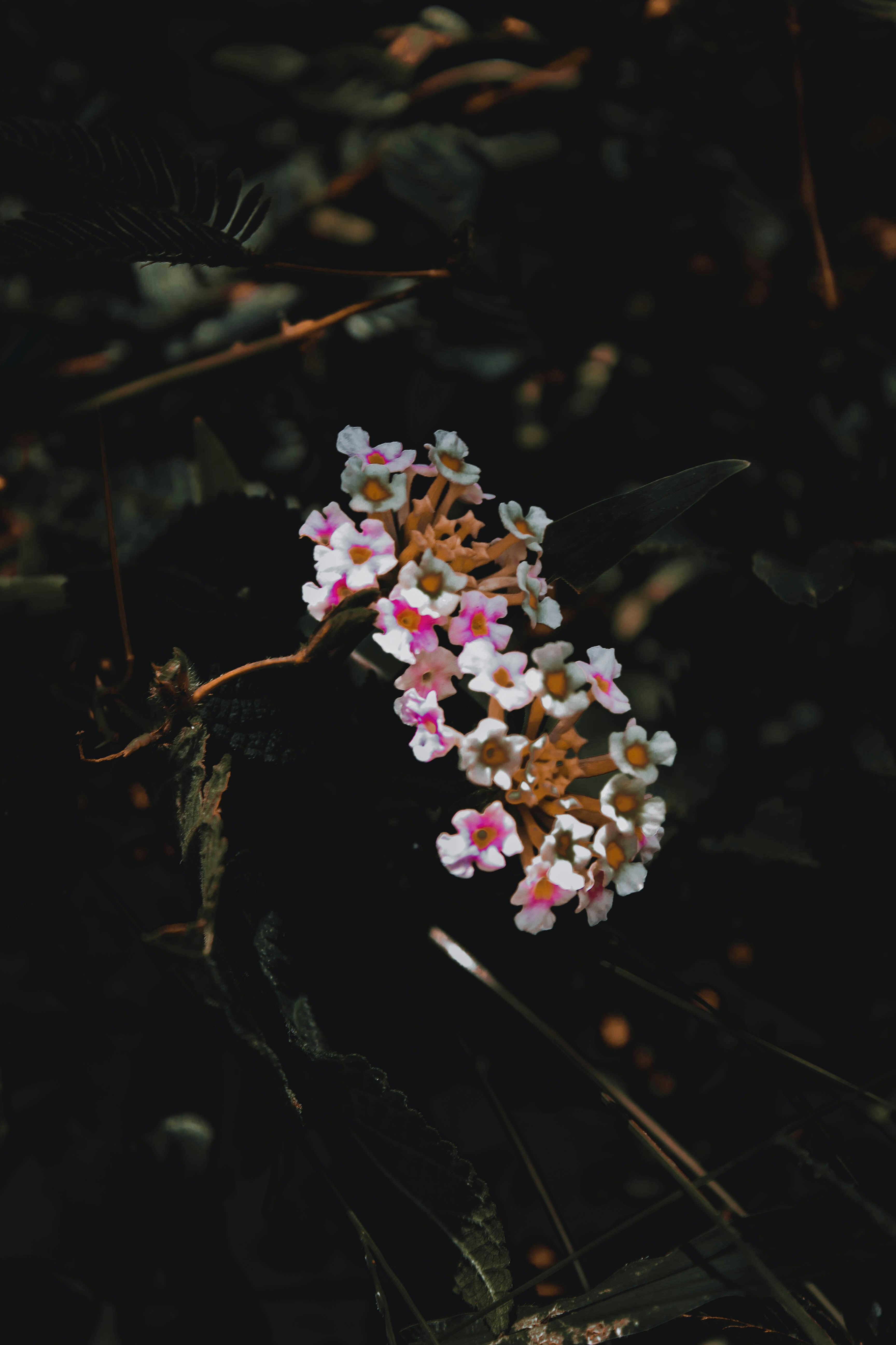 Photo by linsartistry