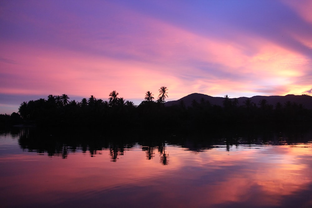 silhouette of trees near body of water during sunset