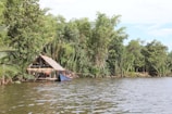 A wooden hut with a thatched roof nestles among dense green foliage along the banks of a calm river. A small blue boat is moored adjacent to the hut, partially sheltered by hanging palm leaves. The scene is serene and enveloped by abundant greenery.