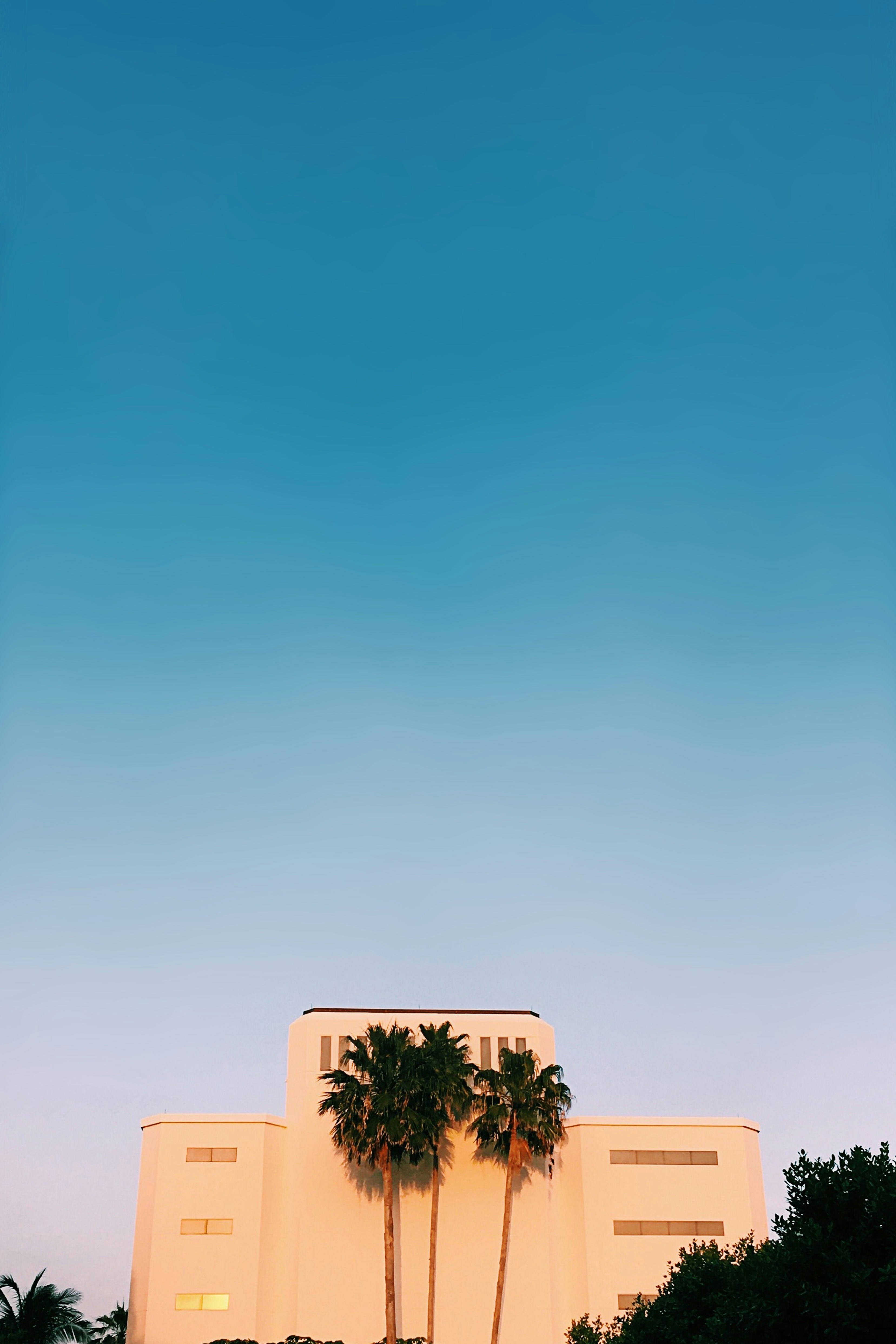 green tree under blue sky during daytime