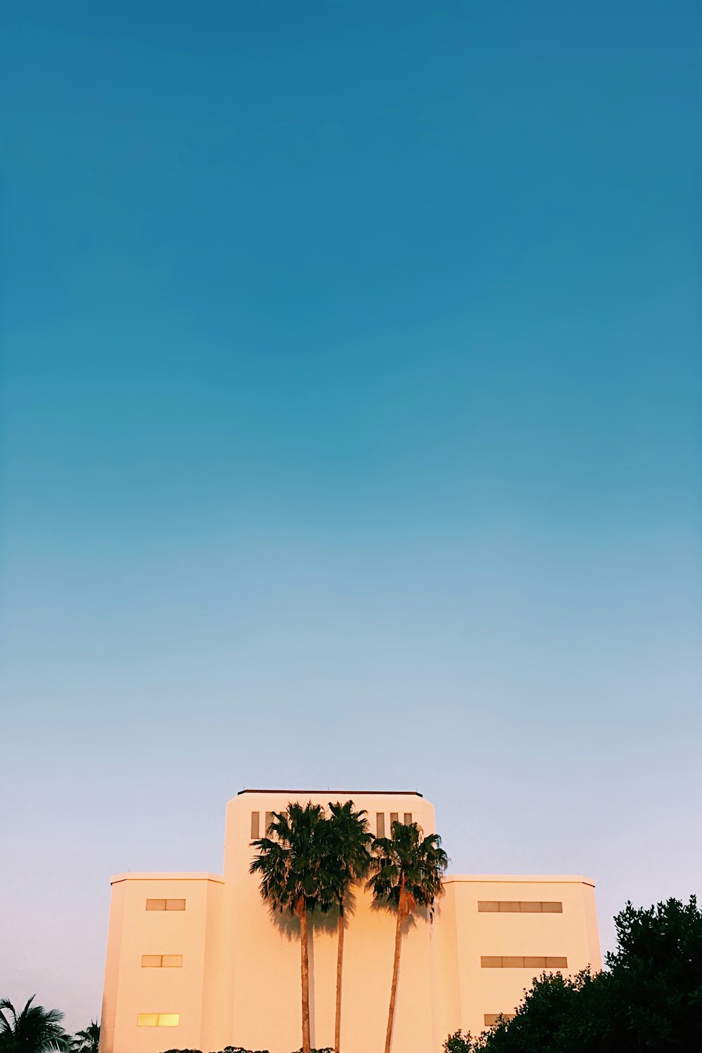 green tree under blue sky during daytime