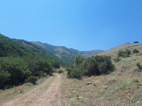 green grass field and mountain during daytime in Arzakan Armenia