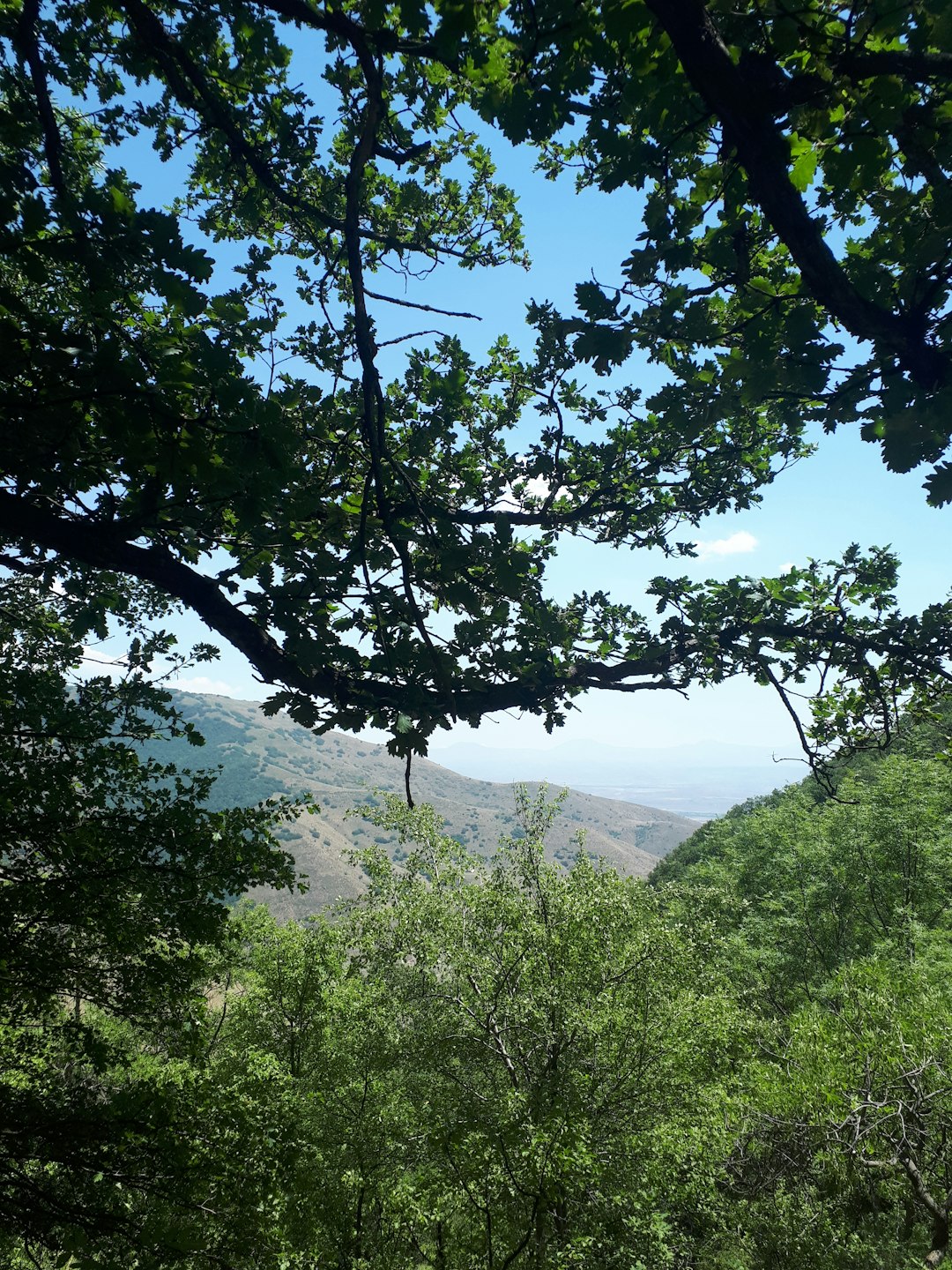 Natural landscape photo spot Ô±Ö€Õ¦Õ¡Õ¯Õ¡Õ¶ Lori Province