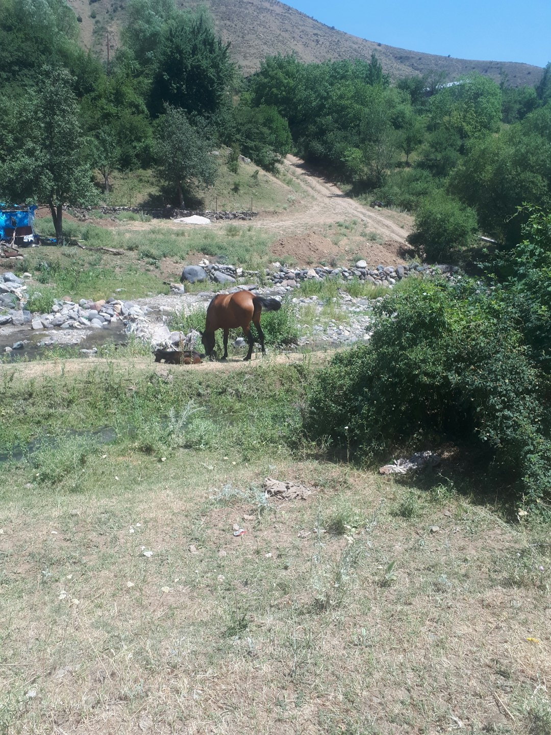 Natural landscape photo spot Ô±Ö€Õ¦Õ¡Õ¯Õ¡Õ¶ Tsakhkadzor